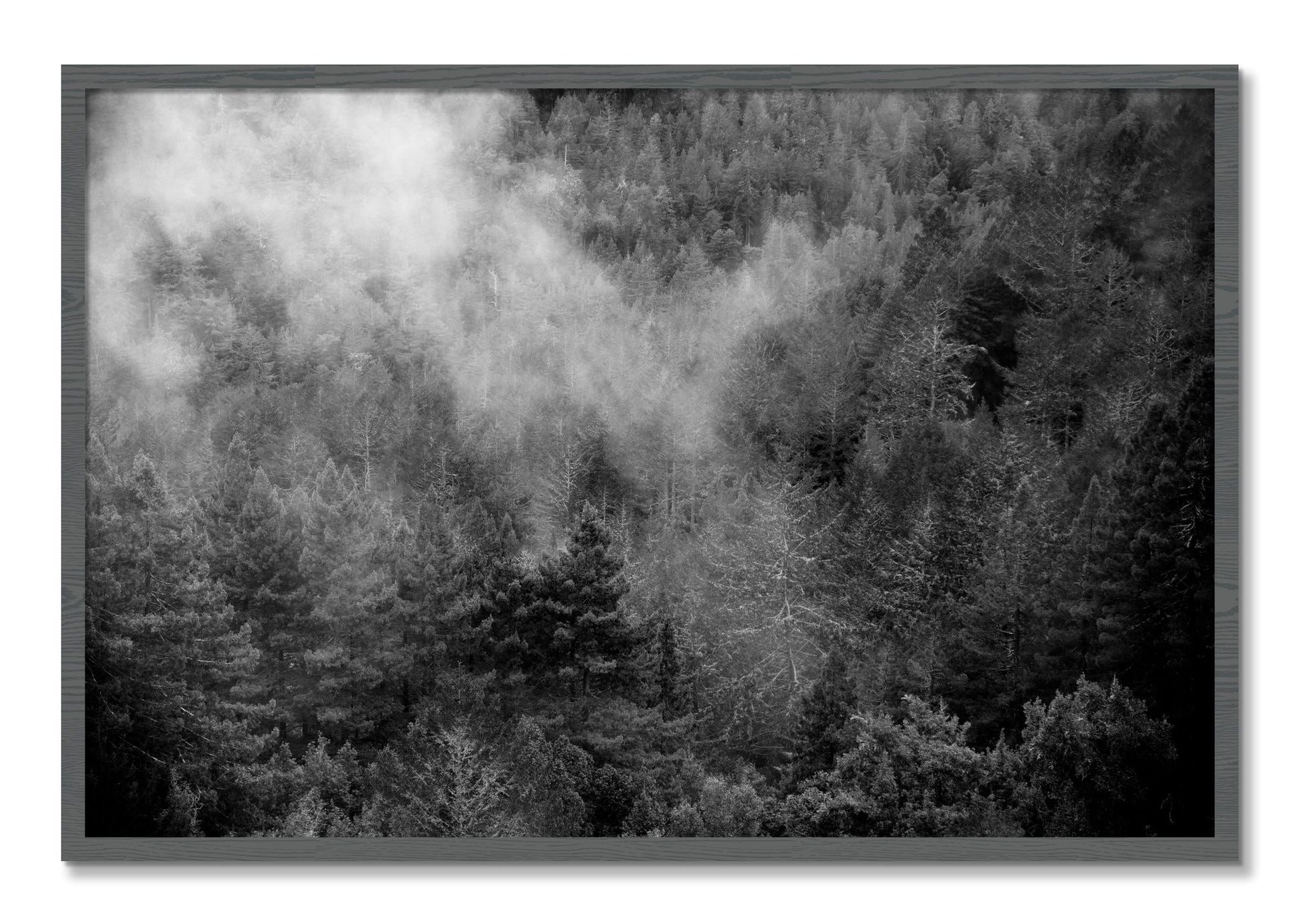 Framed photograph of Muir by Dylan Ozanich, Grey frame, Full Bleed
