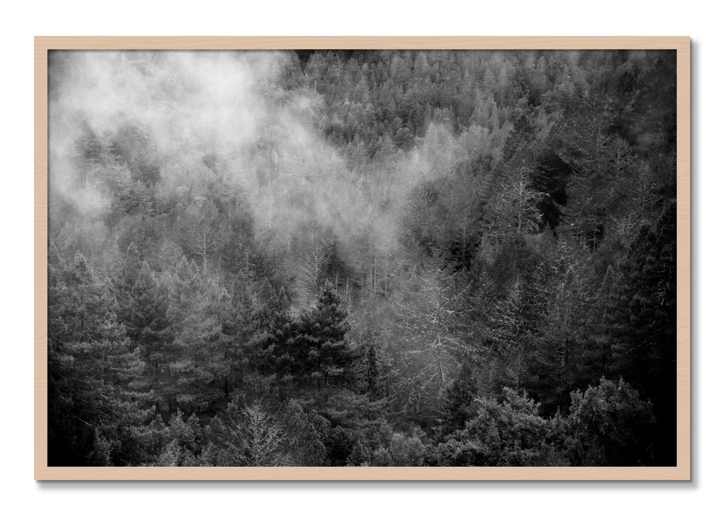 Framed photograph of Muir by Dylan Ozanich, Maple frame, Full Bleed