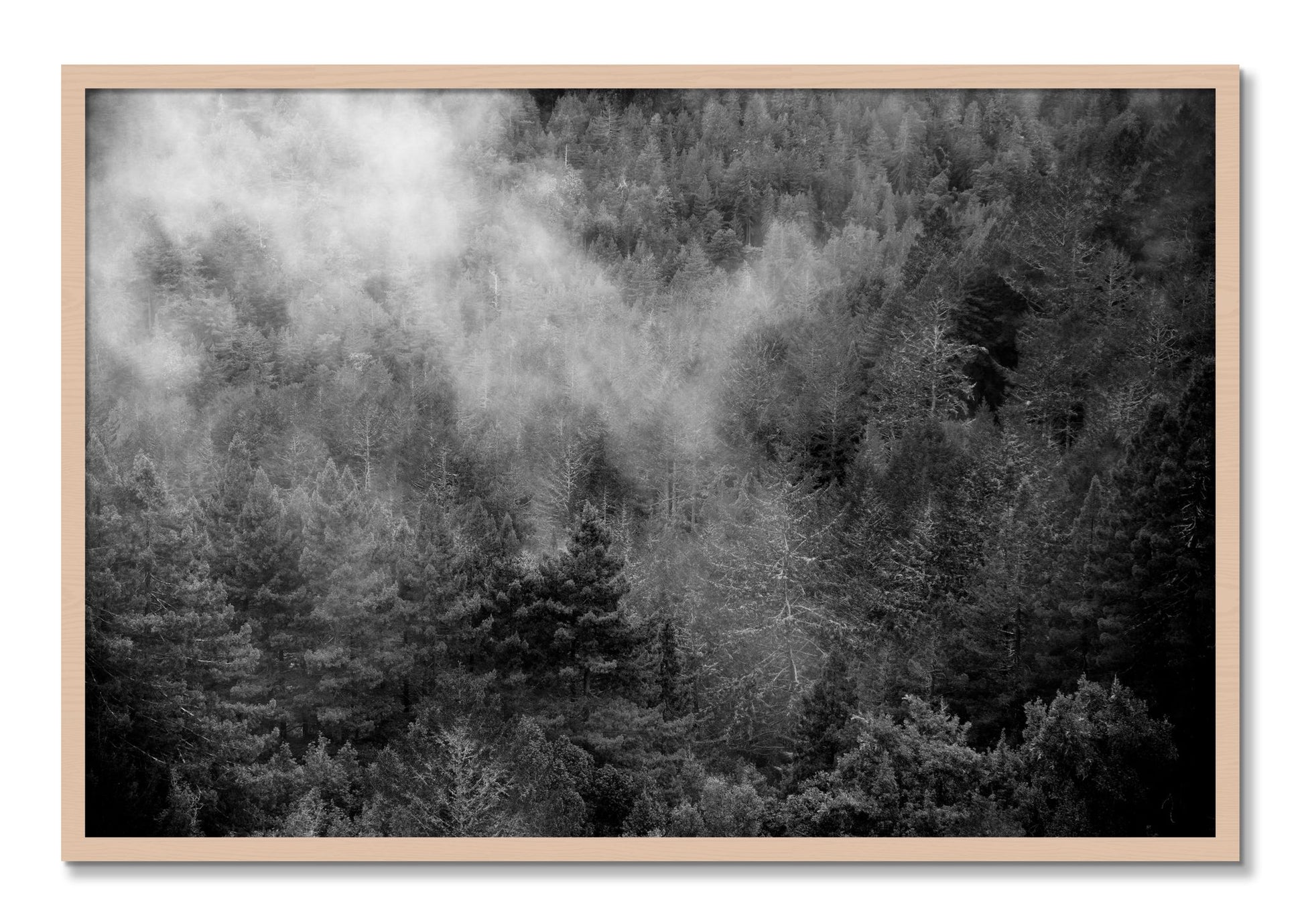 Framed photograph of Muir by Dylan Ozanich, Maple frame, Full Bleed