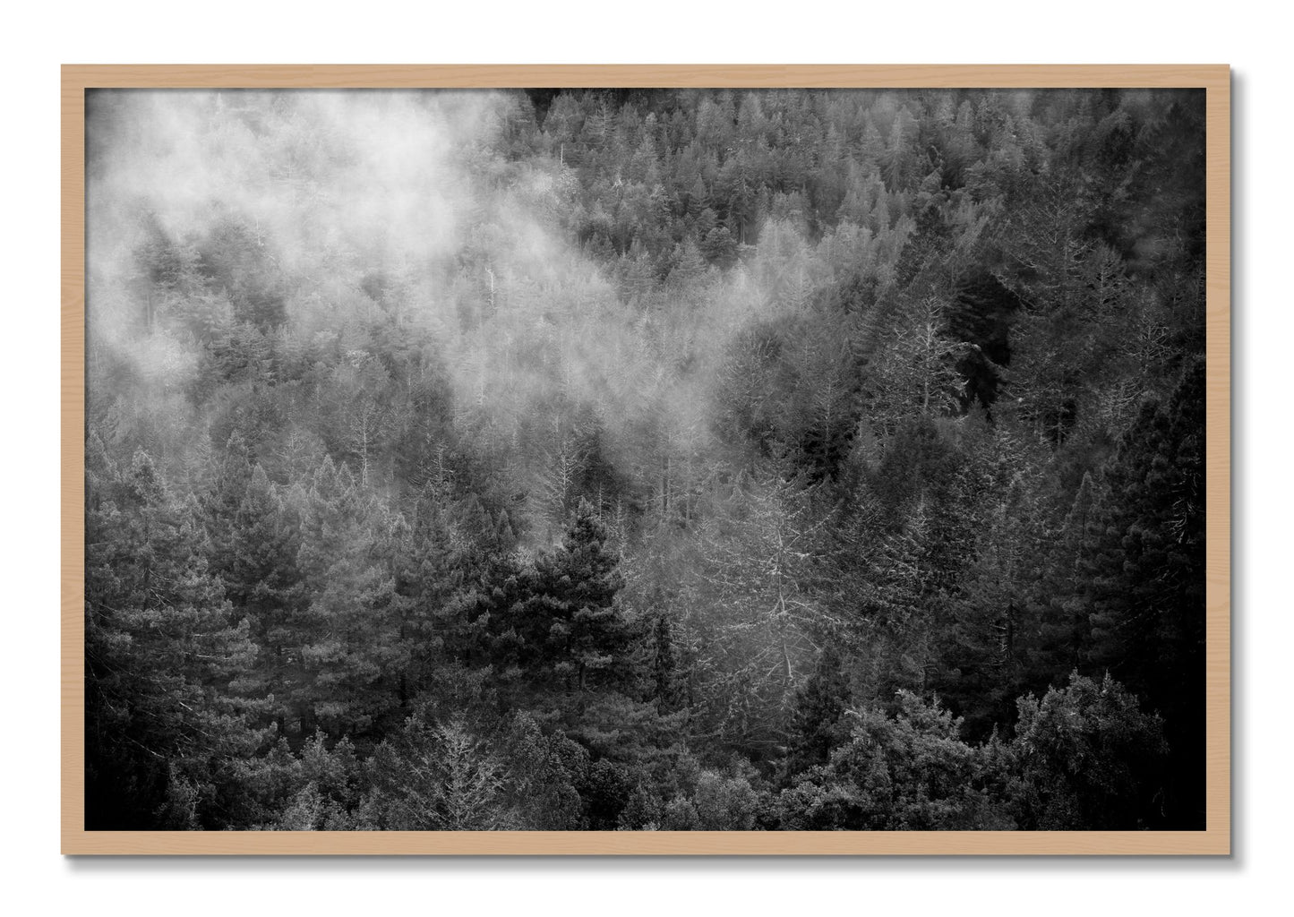 Framed photograph of Muir by Dylan Ozanich, Oak frame, Full Bleed
