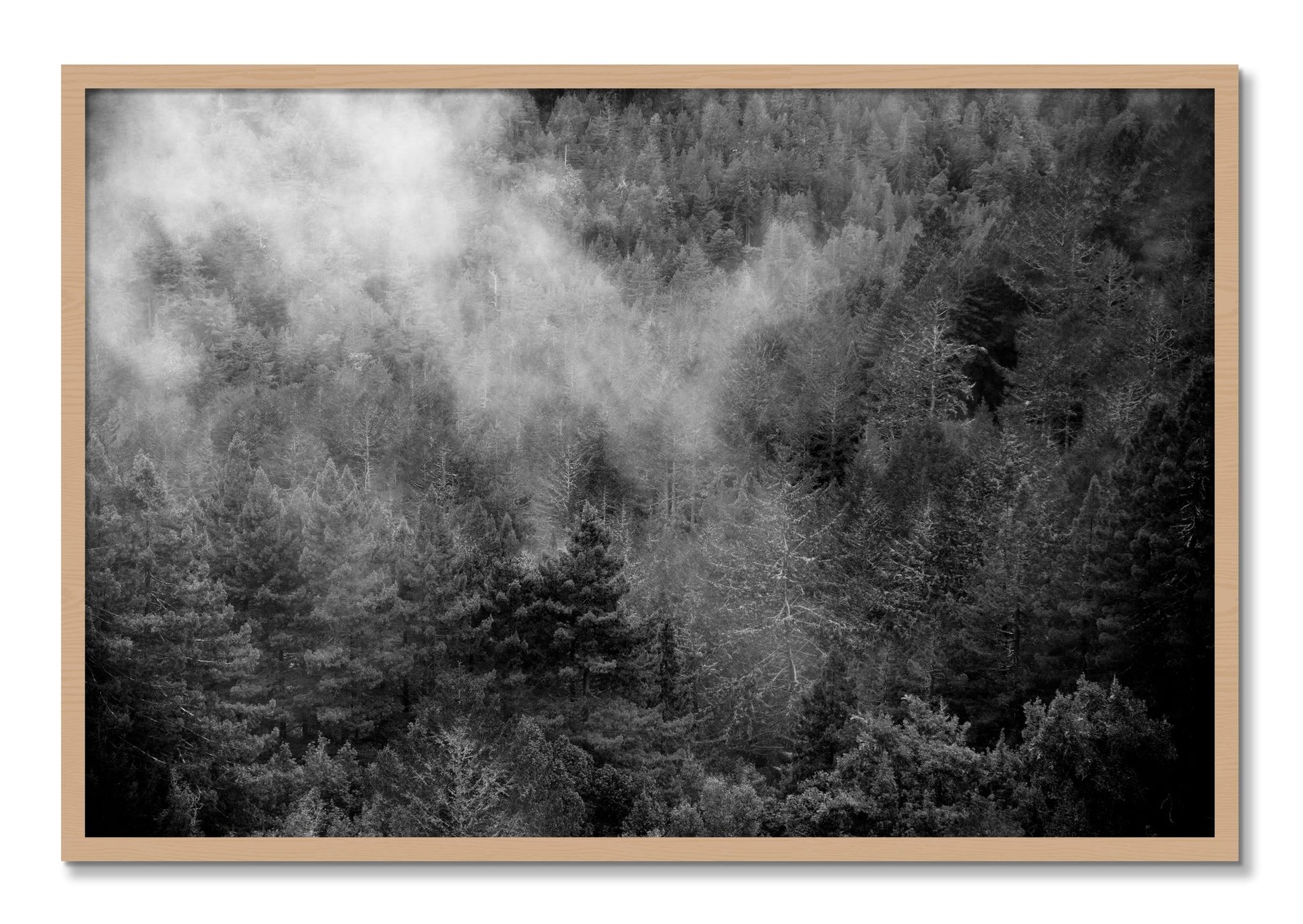 Framed photograph of Muir by Dylan Ozanich, Oak frame, Full Bleed