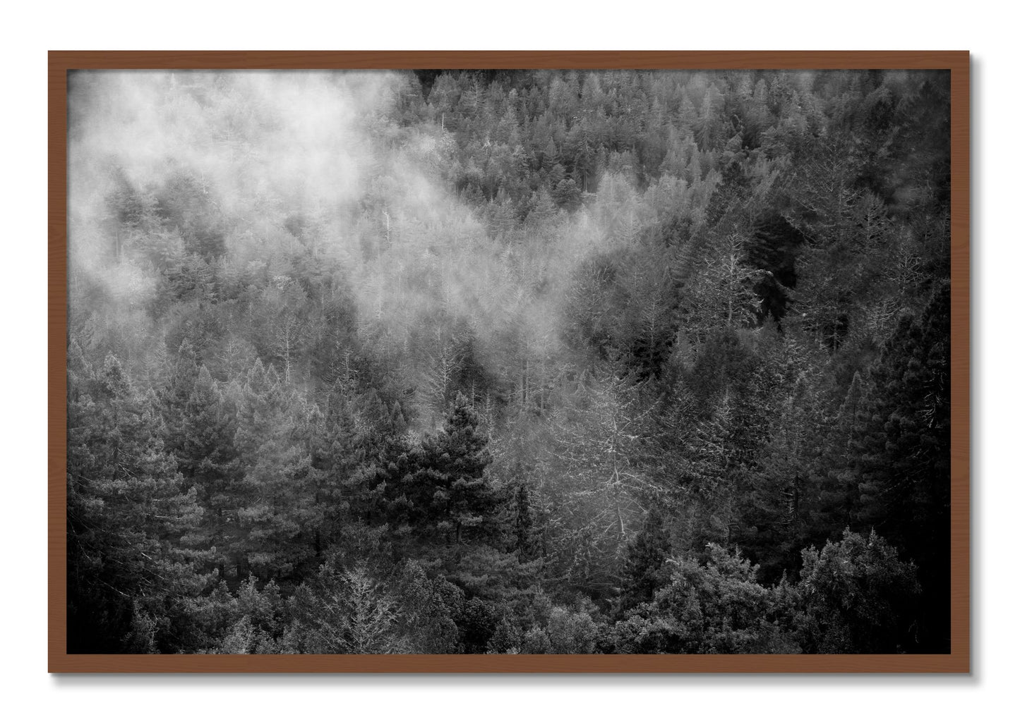 Framed photograph of Muir by Dylan Ozanich, Walnut frame, Full Bleed