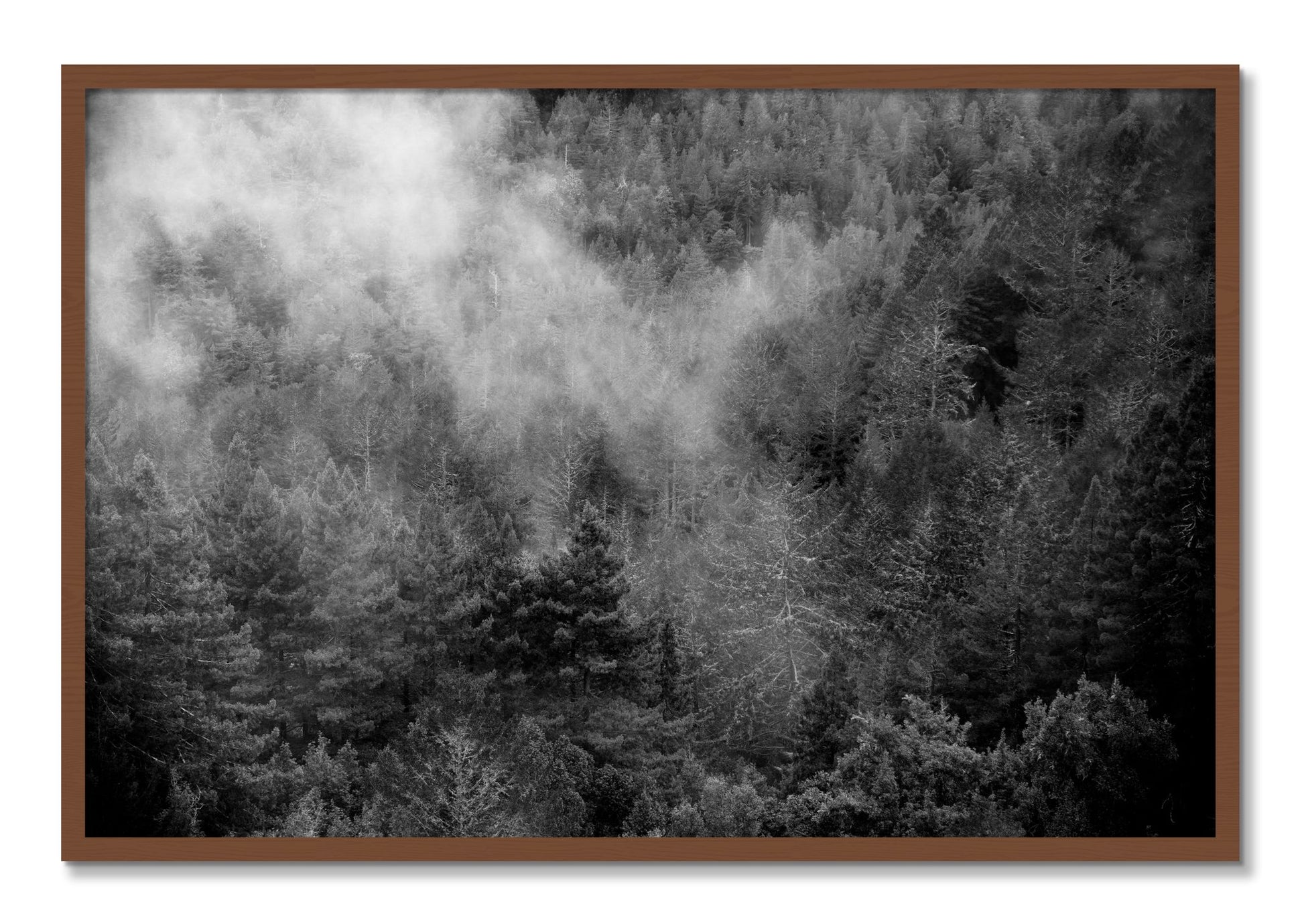 Framed photograph of Muir by Dylan Ozanich, Walnut frame, Full Bleed