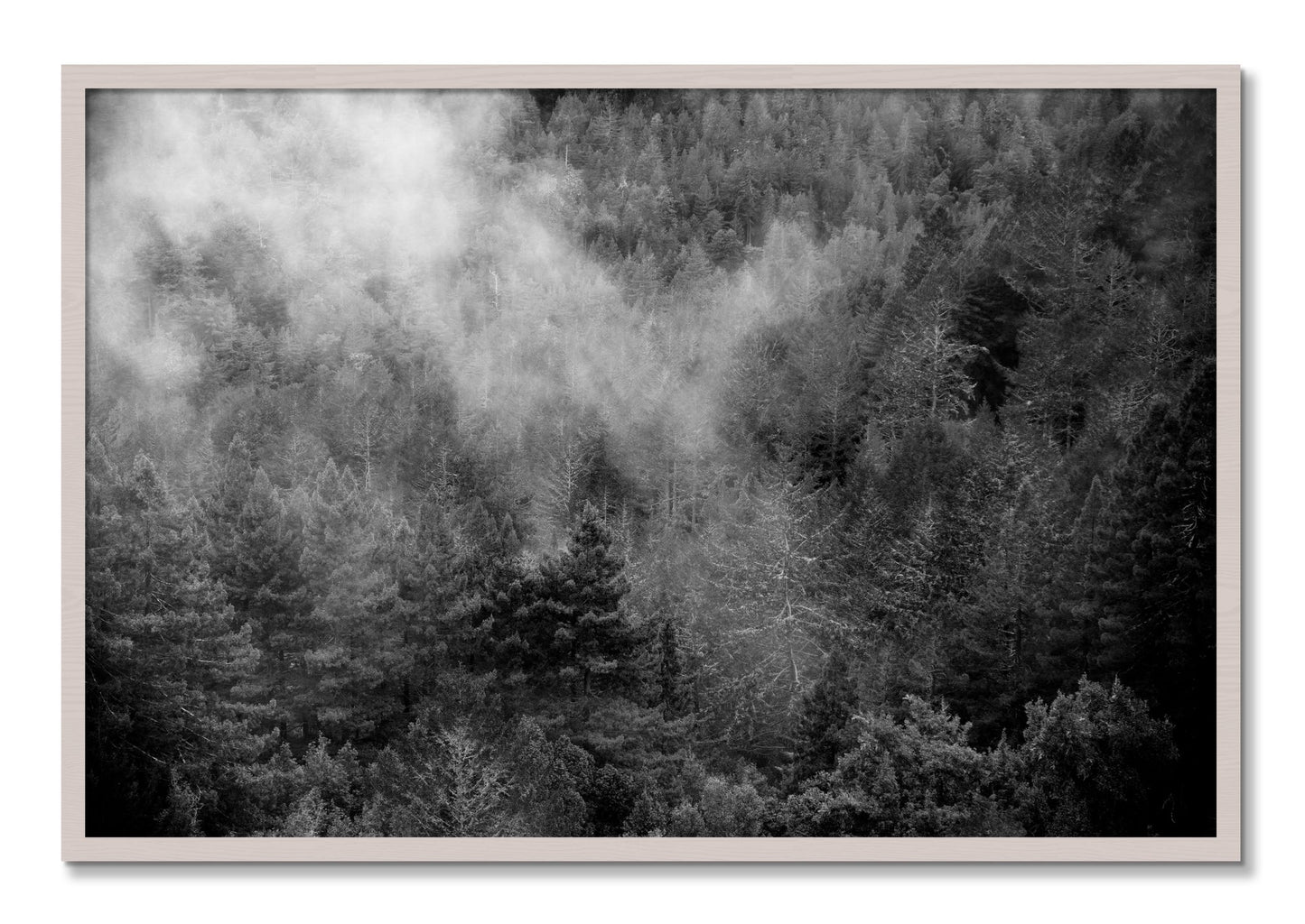Framed photograph of Muir by Dylan Ozanich, White Maple frame, Full Bleed