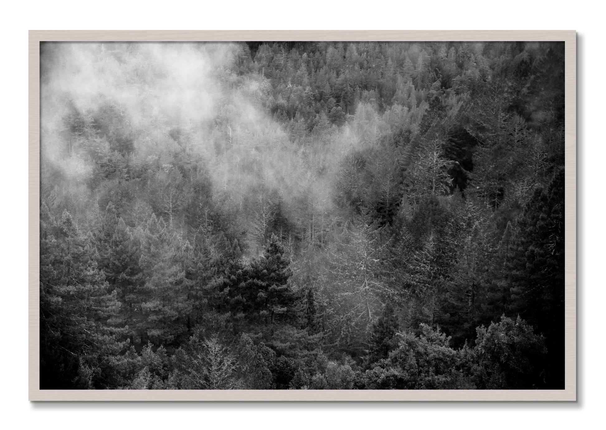 Framed photograph of Muir by Dylan Ozanich, White Maple frame, Full Bleed