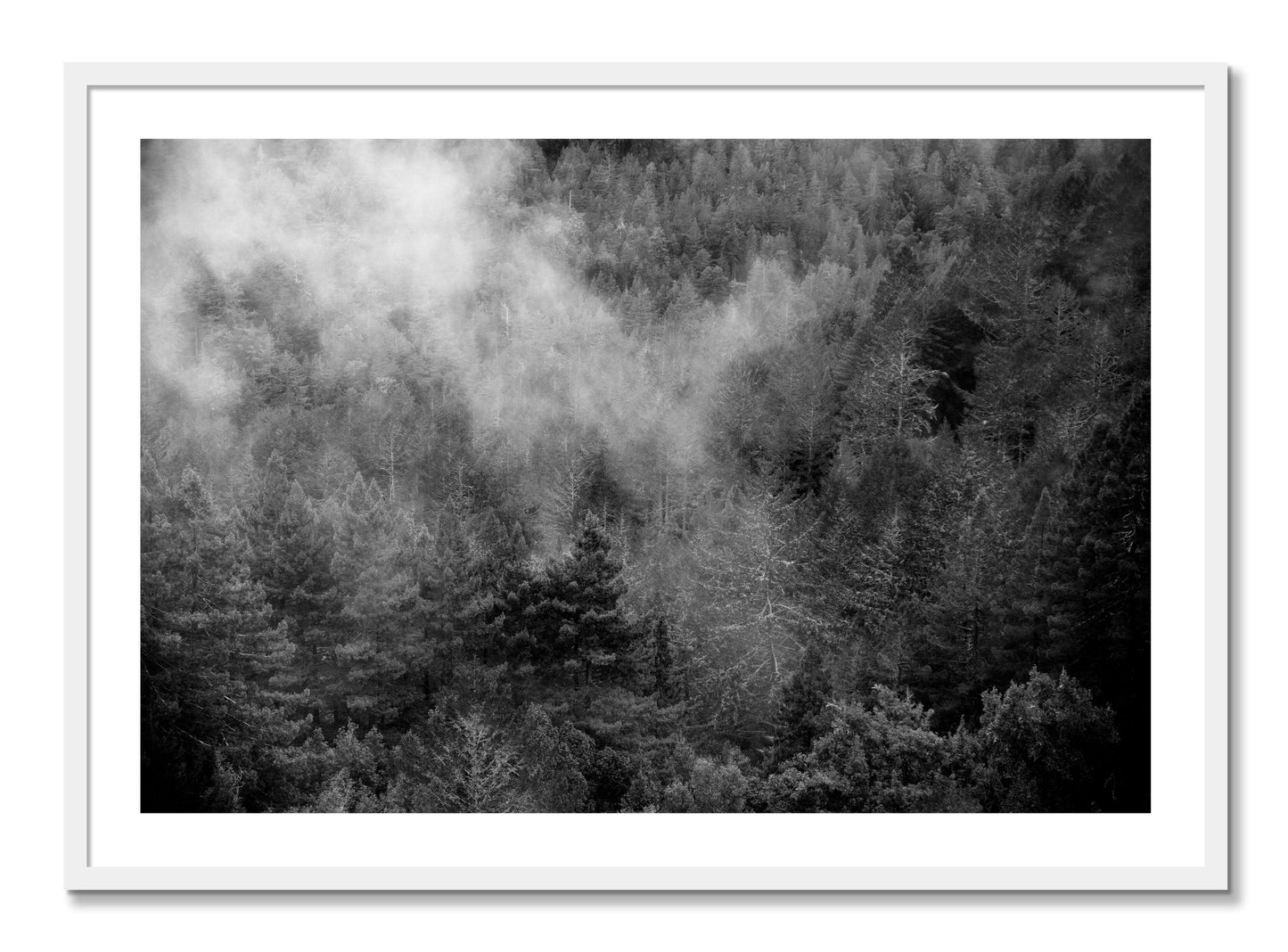 Framed photograph of Muir by Dylan Ozanich, White frame, Full Bleed