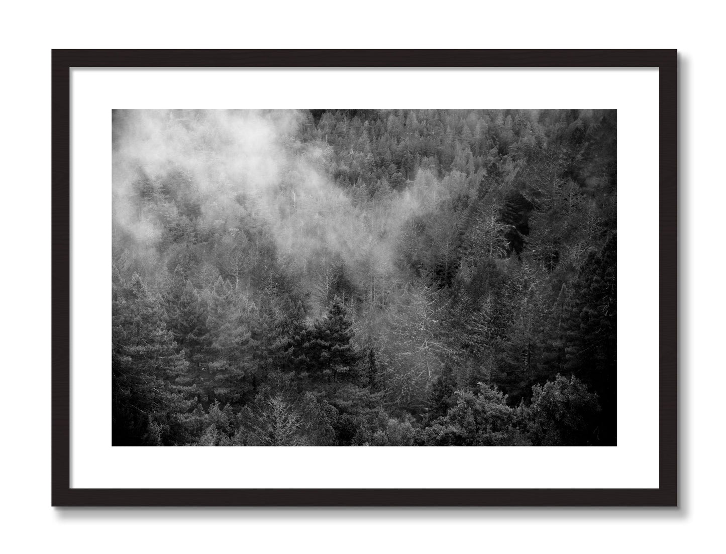 Framed photograph of Muir by Dylan Ozanich, Black Walnut frame, Borders