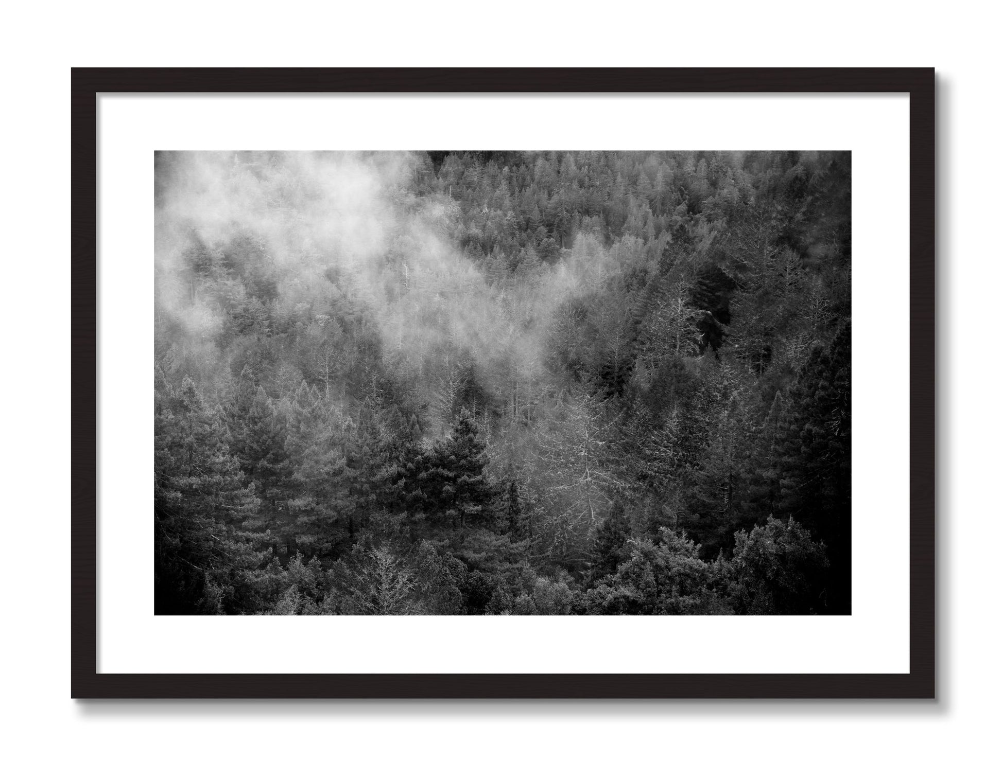 Framed photograph of Muir by Dylan Ozanich, Black frame, Borders