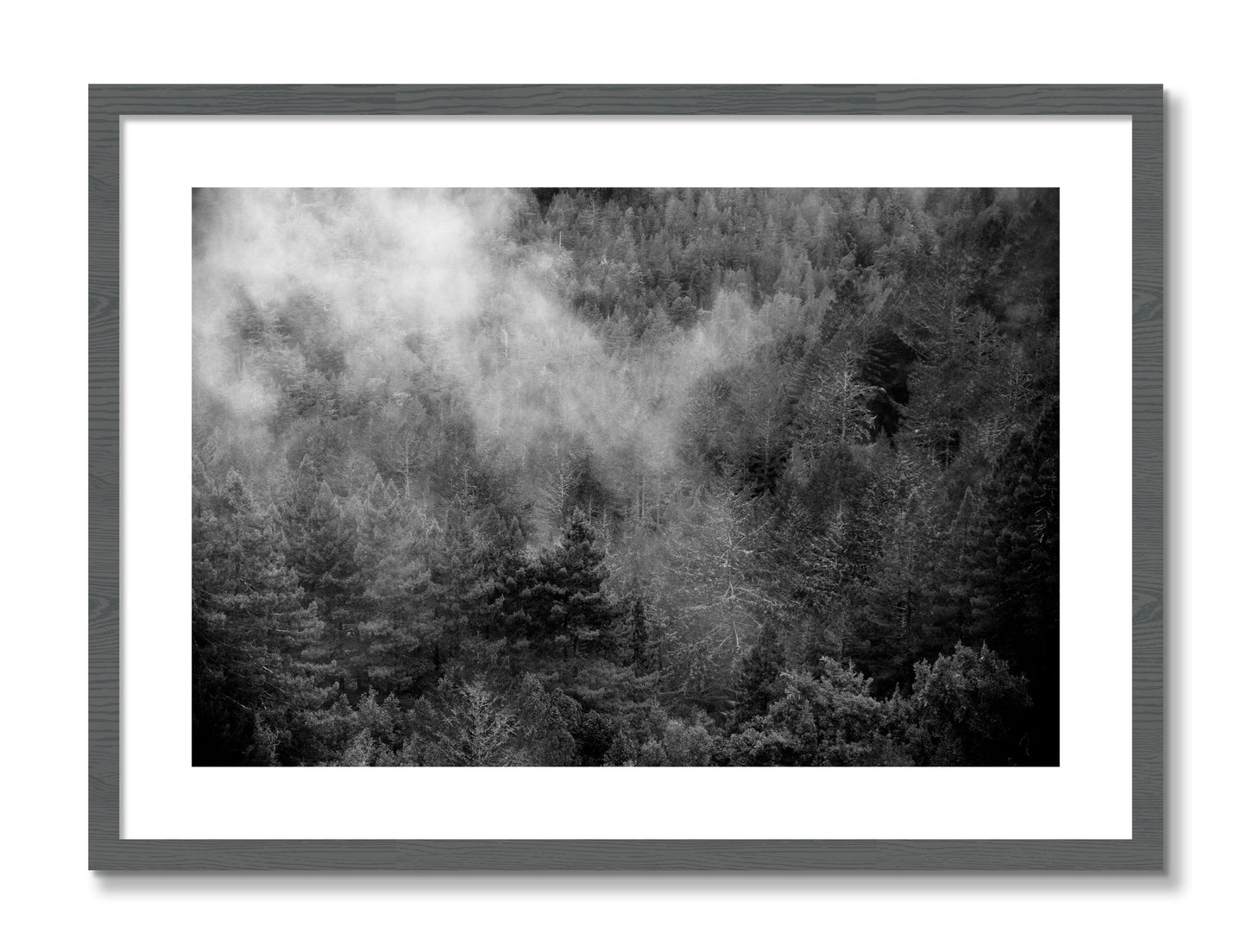 Framed photograph of Muir by Dylan Ozanich, Grey frame, Borders