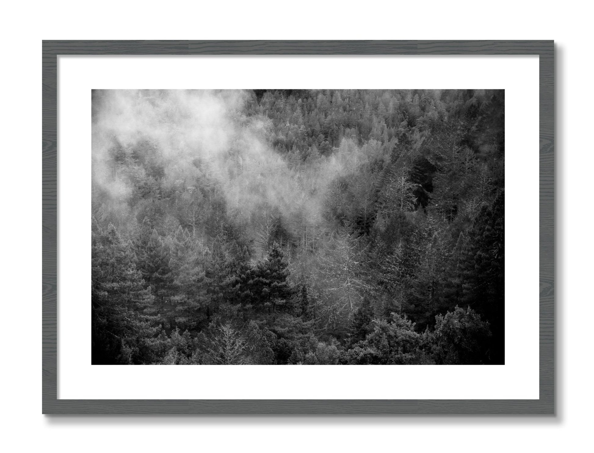 Framed photograph of Muir by Dylan Ozanich, Grey frame, Borders