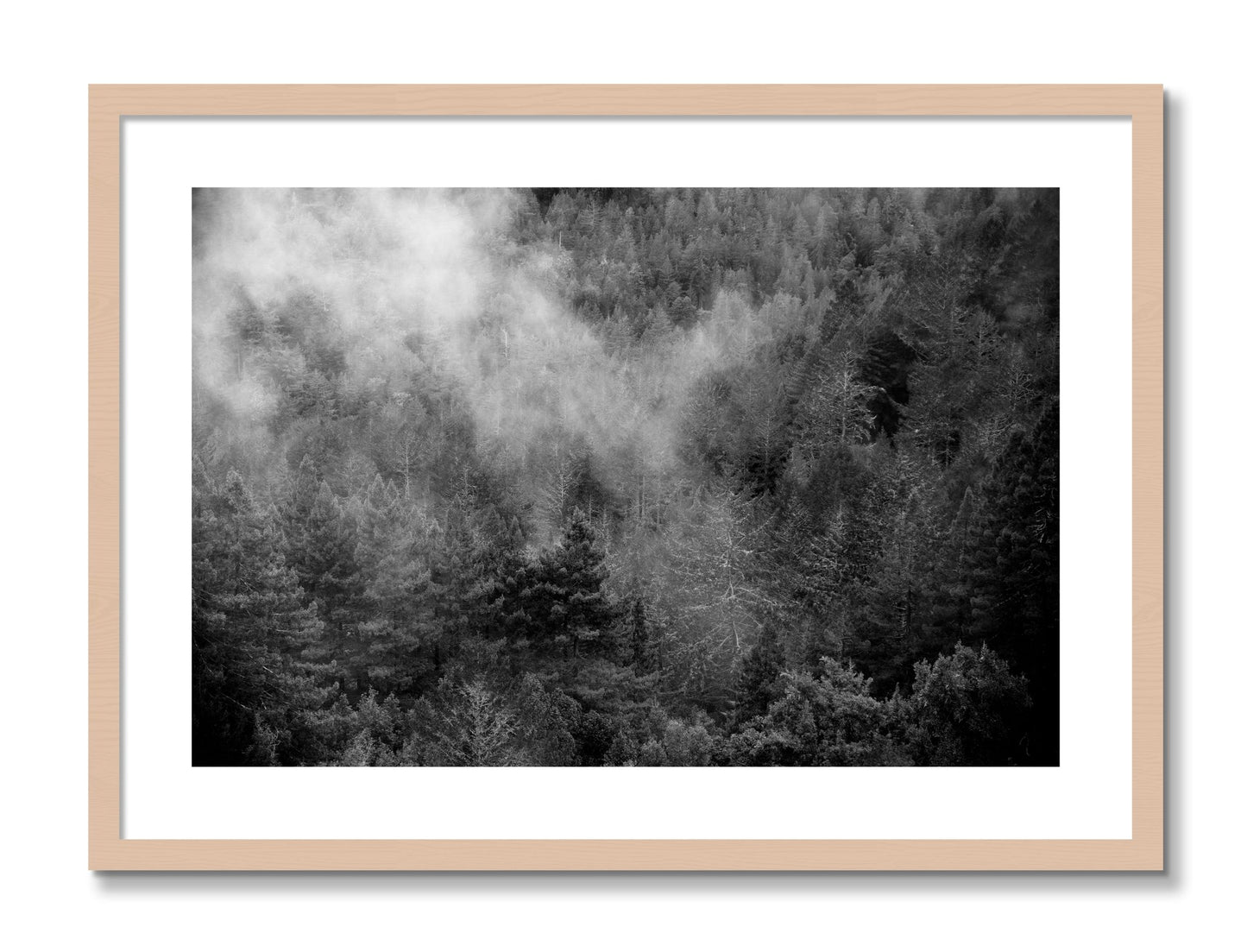 Framed photograph of Muir by Dylan Ozanich, Maple frame, Borders