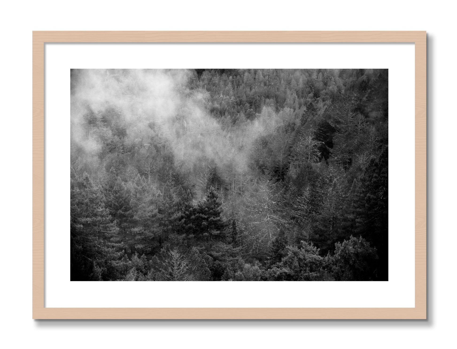 Framed photograph of Muir by Dylan Ozanich, Maple frame, Borders