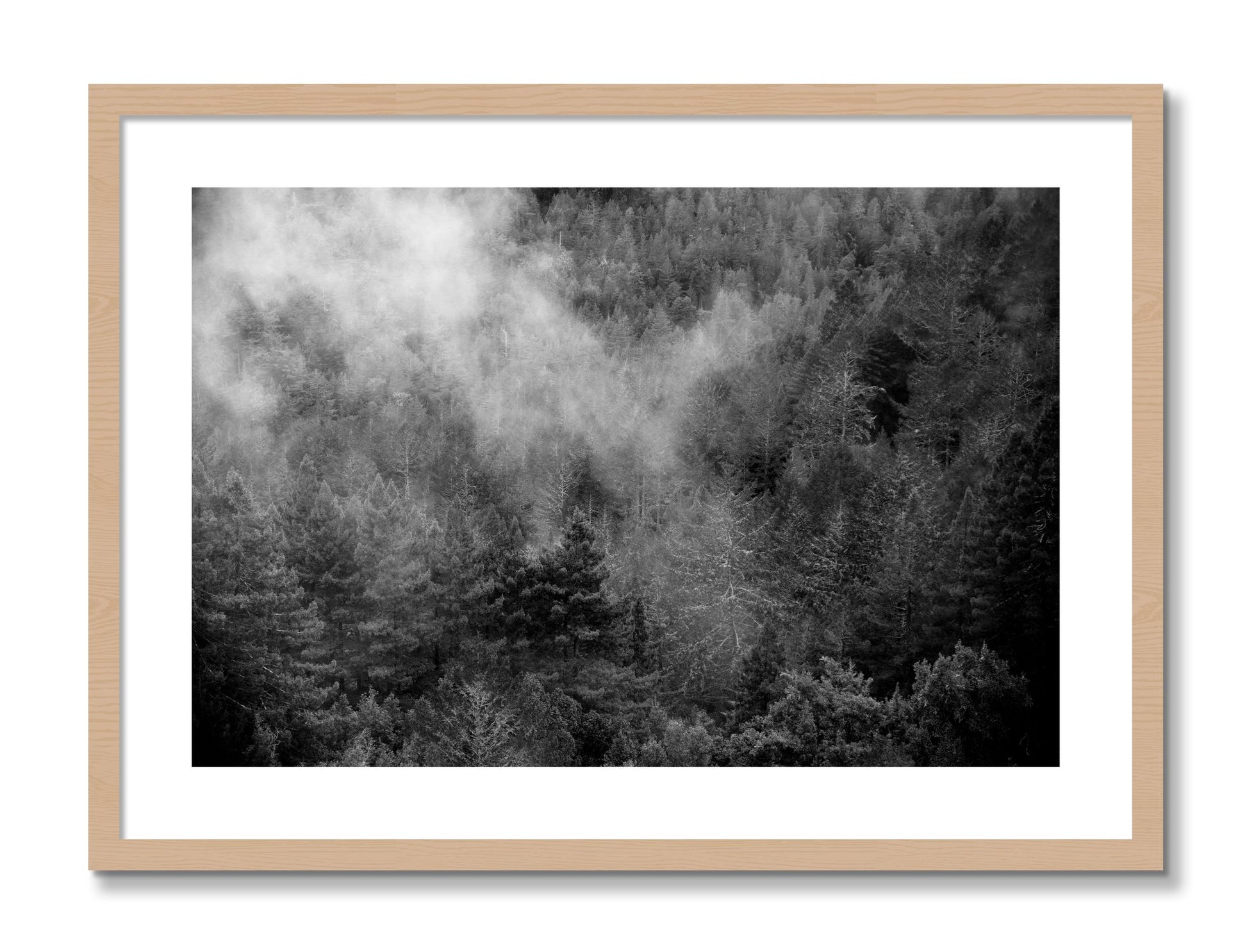 Framed photograph of Muir by Dylan Ozanich, Oak frame, Borders