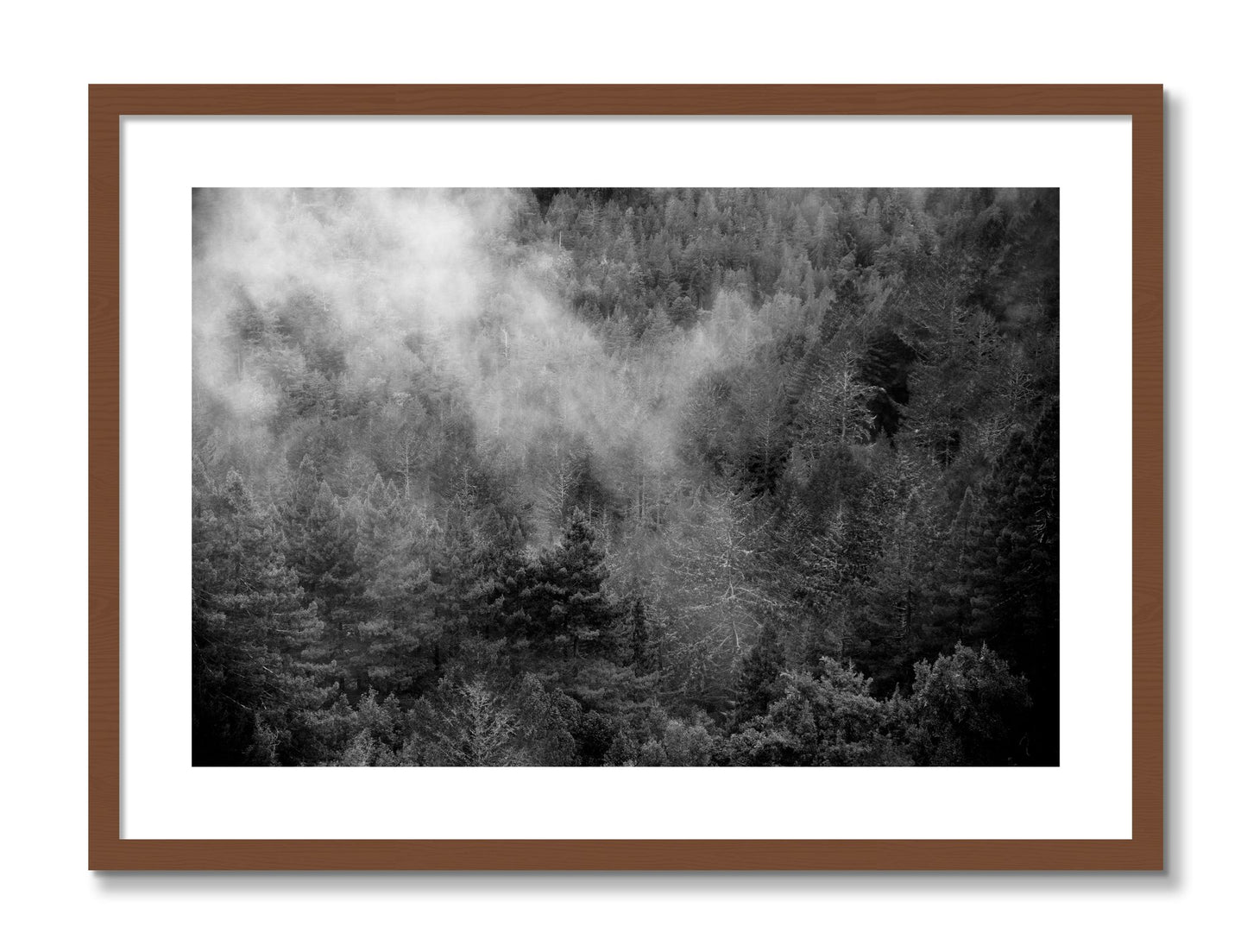 Framed photograph of Muir by Dylan Ozanich, Walnut frame, Borders