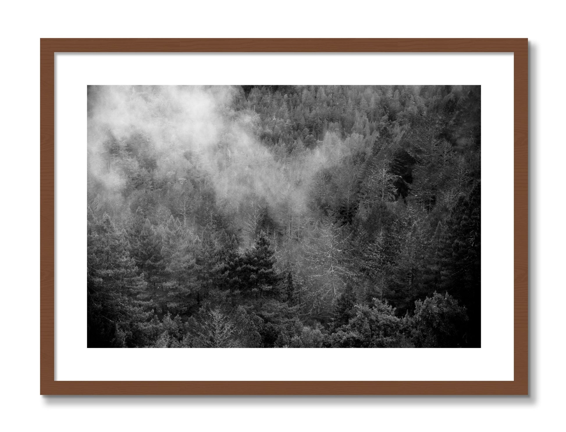 Framed photograph of Muir by Dylan Ozanich, Walnut frame, Borders
