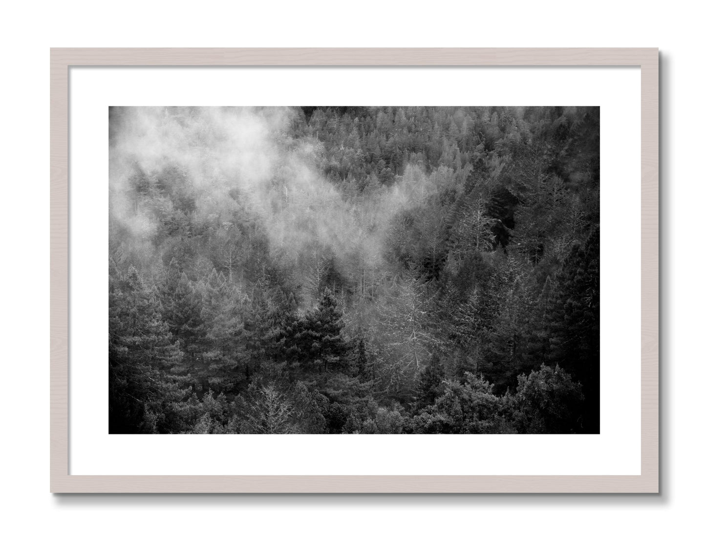 Framed photograph of Muir by Dylan Ozanich, White Maple frame, Borders