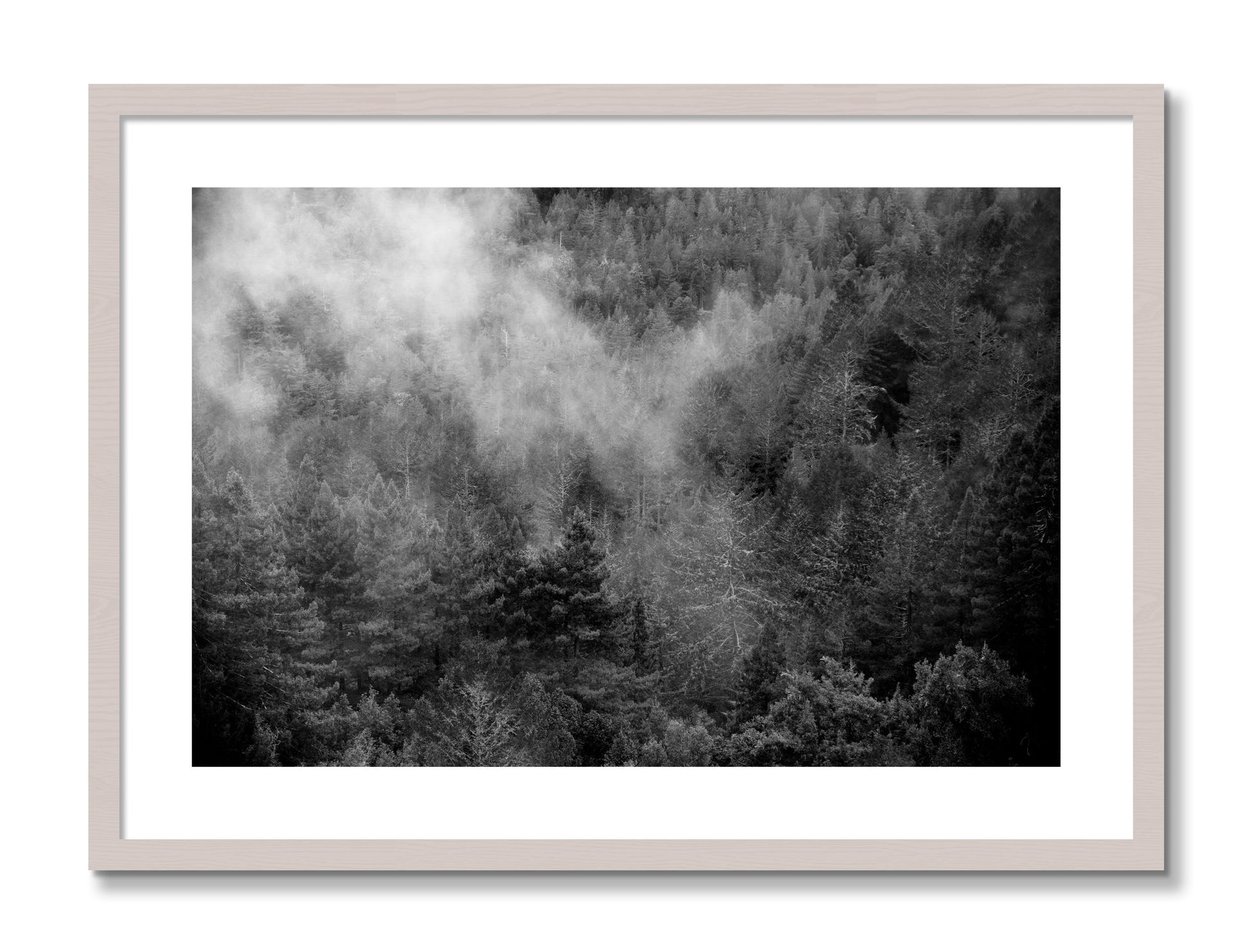 Framed photograph of Muir by Dylan Ozanich, White Maple frame, Borders