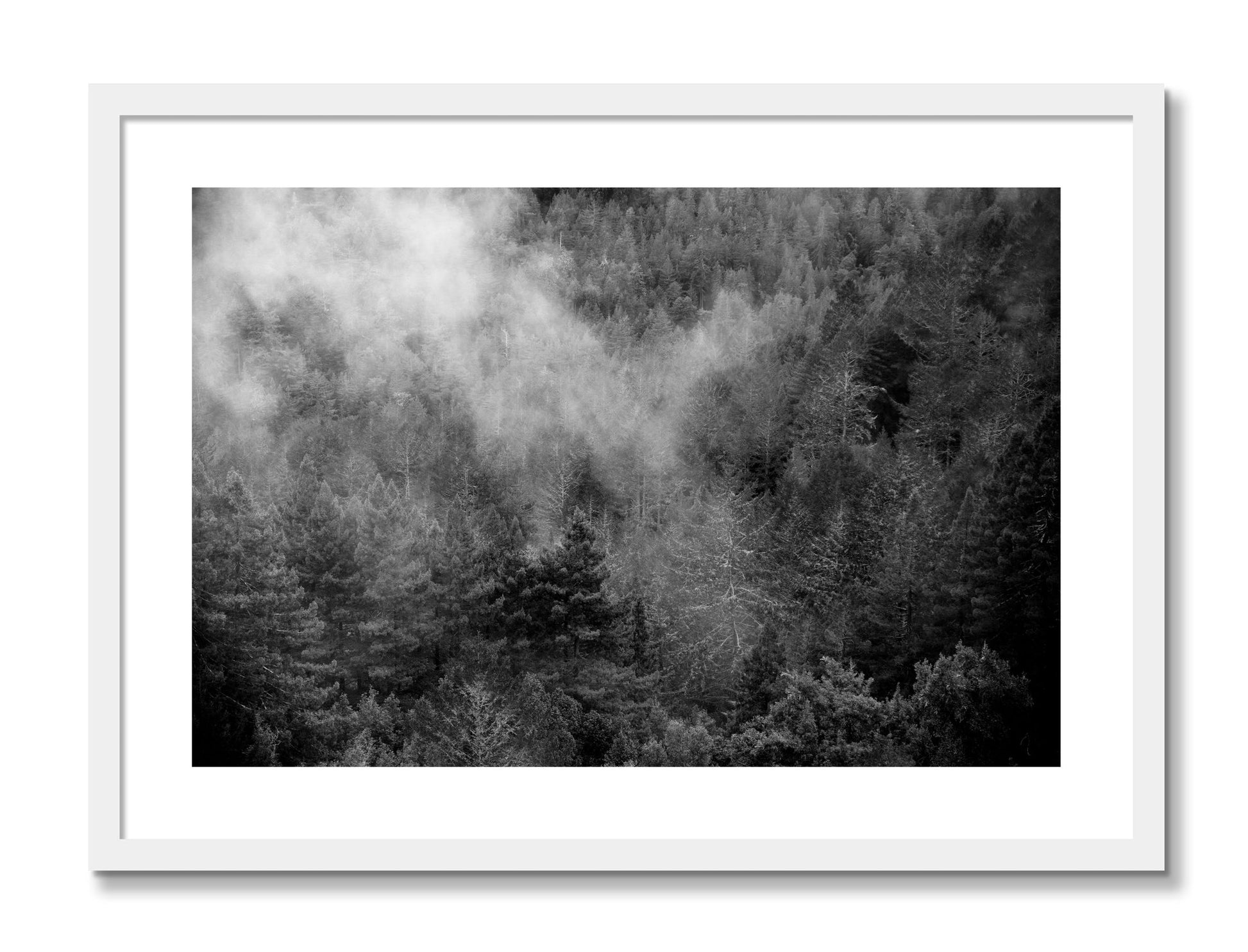 Framed photograph of Muir by Dylan Ozanich, White frame, Borders
