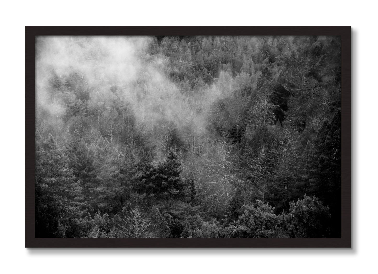 Framed photograph of Muir by Dylan Ozanich, Black Walnut frame, Full Bleed