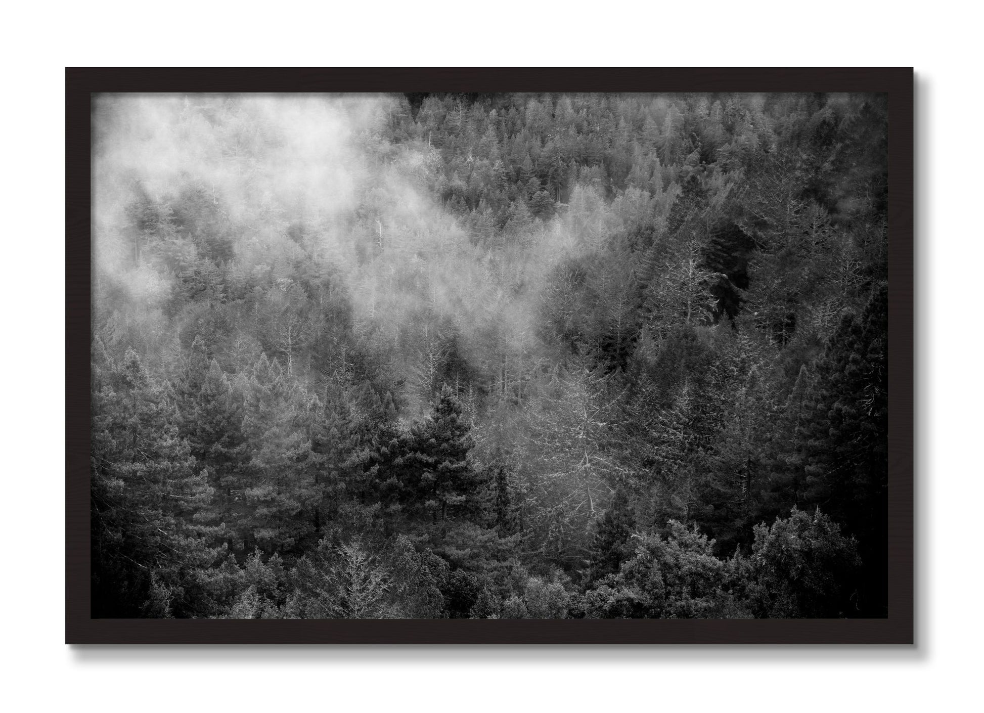 Framed photograph of Muir by Dylan Ozanich, Black Walnut frame, Full Bleed
