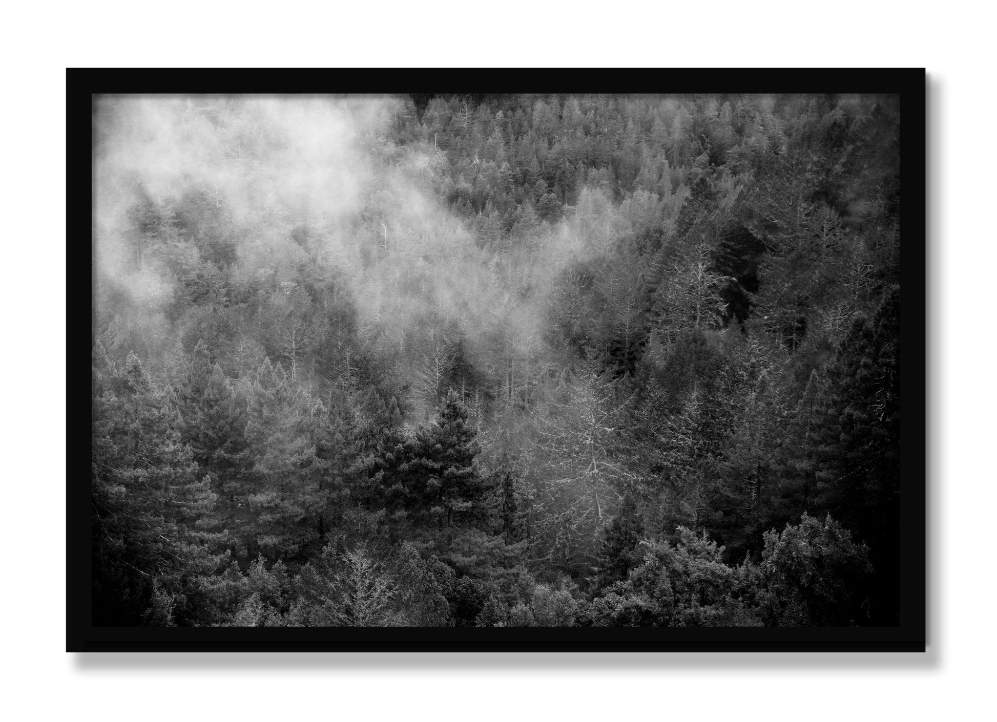 Framed photograph of Muir by Dylan Ozanich, Black frame, Full Bleed