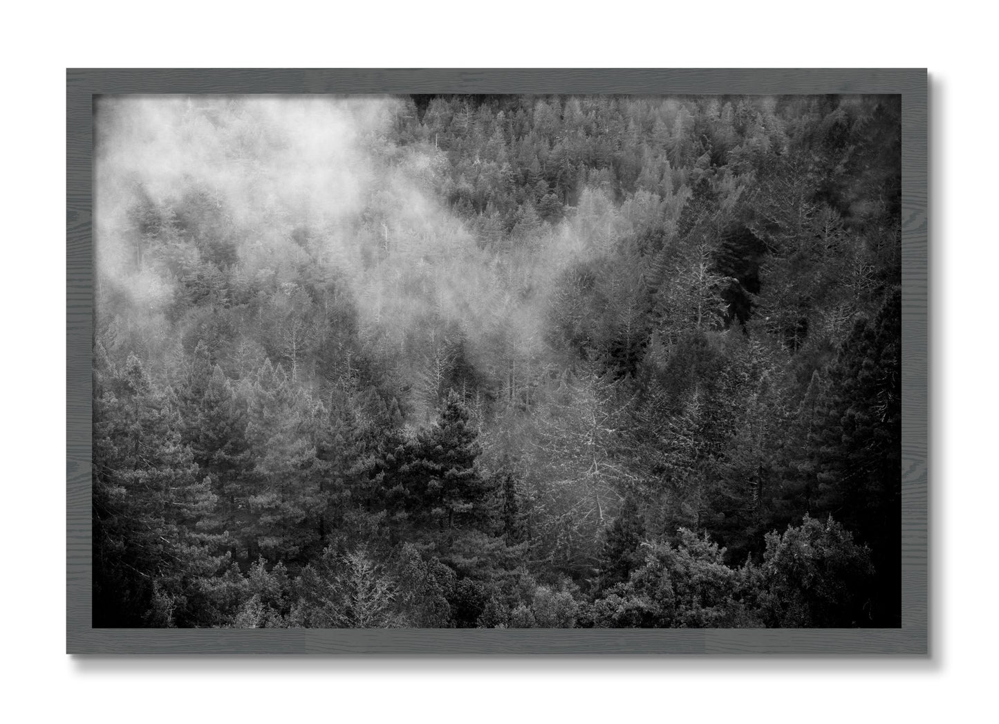 Framed photograph of Muir by Dylan Ozanich, Grey frame, Full Bleed