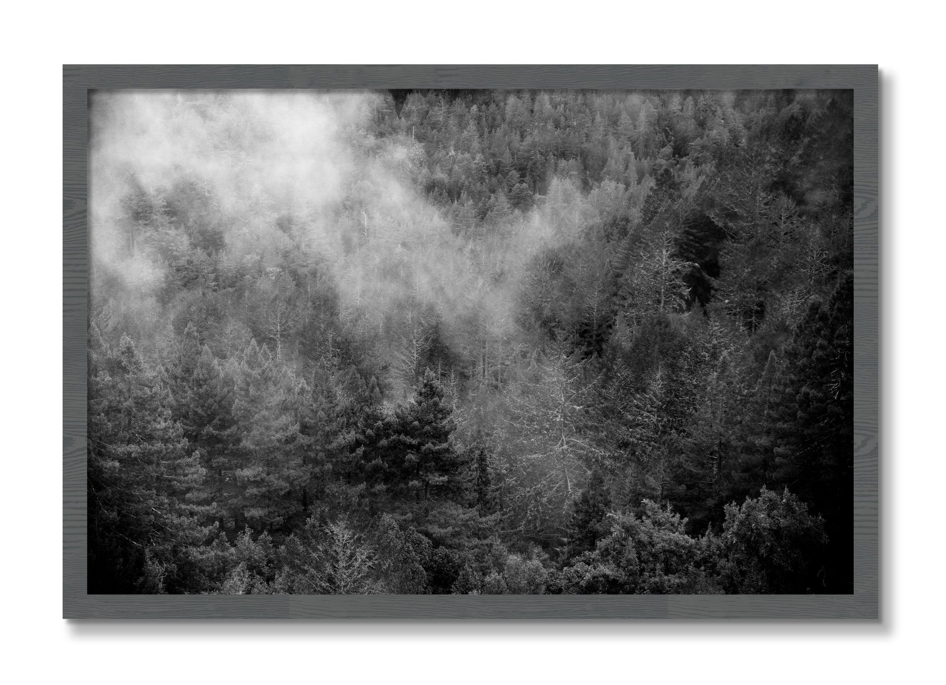 Framed photograph of Muir by Dylan Ozanich, Grey frame, Full Bleed