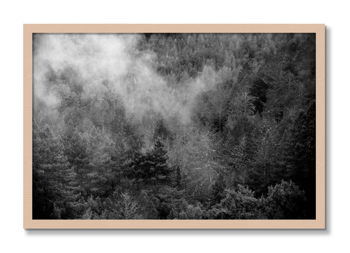 Framed photograph of Muir by Dylan Ozanich, Maple frame, Full Bleed