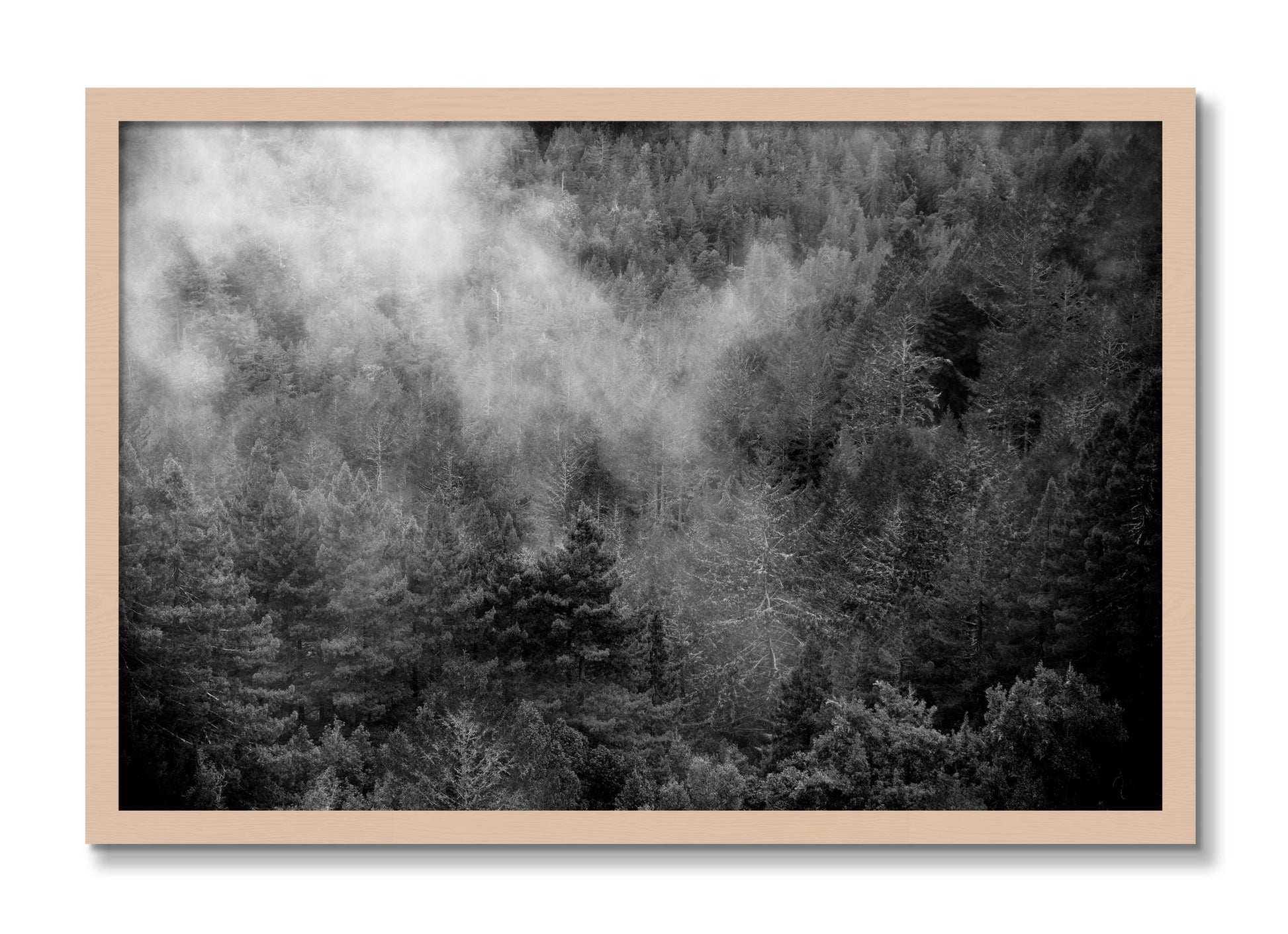 Framed photograph of Muir by Dylan Ozanich, Maple frame, Full Bleed