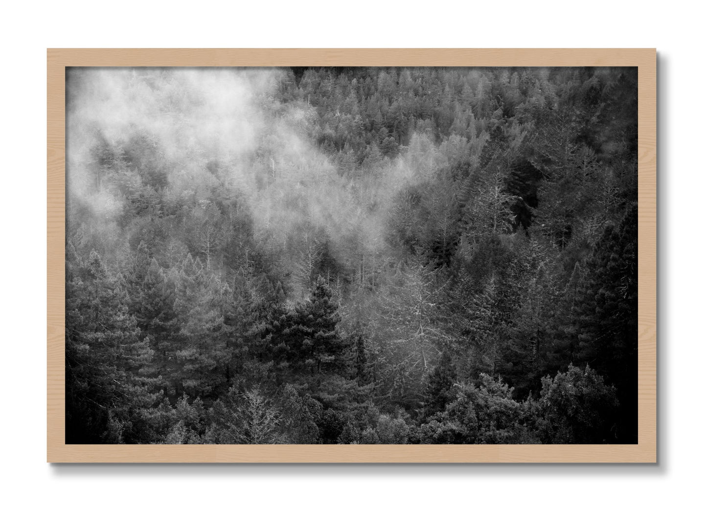 Framed photograph of Muir by Dylan Ozanich, Oak frame, Full Bleed