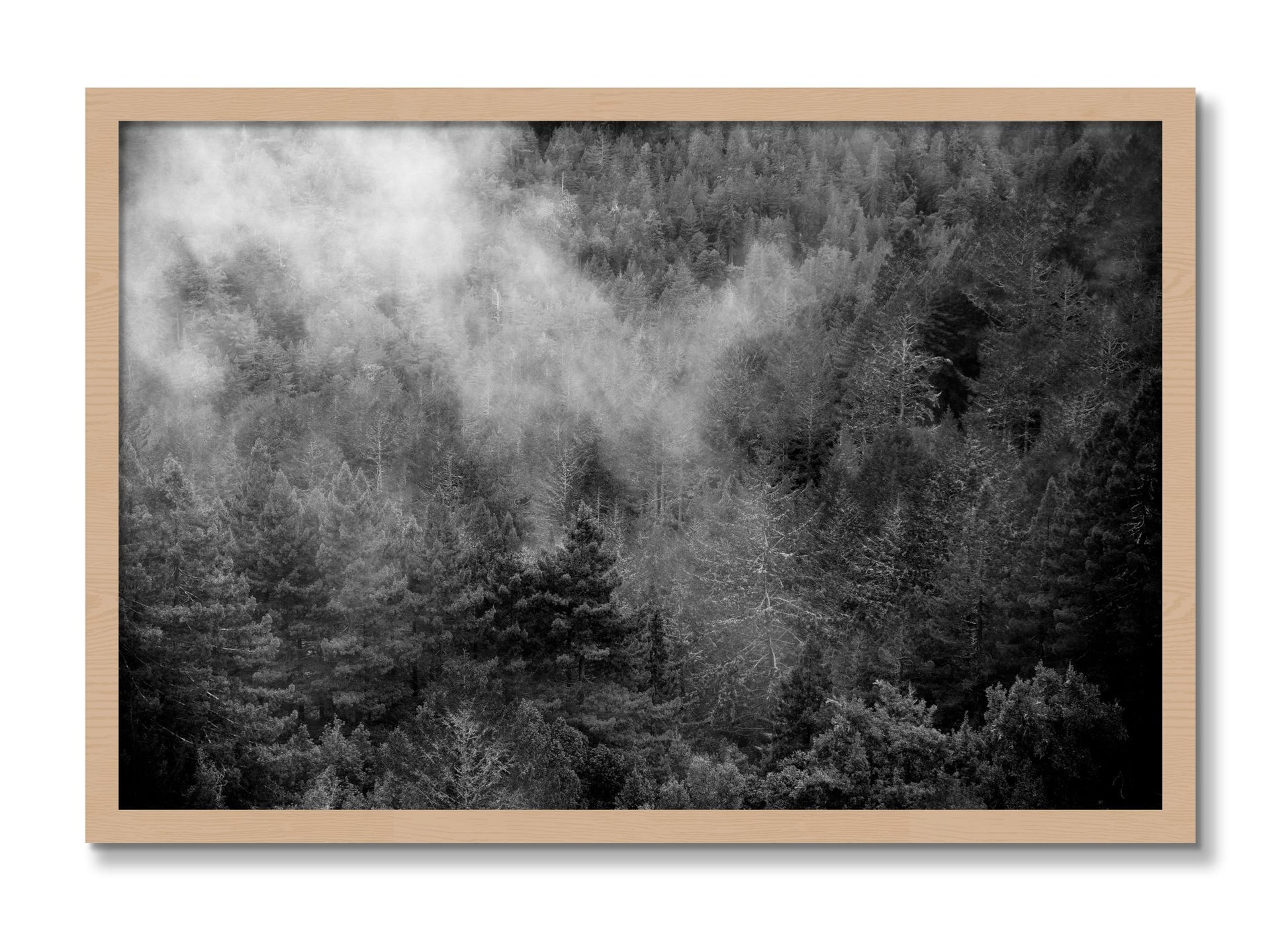 Framed photograph of Muir by Dylan Ozanich, Oak frame, Full Bleed