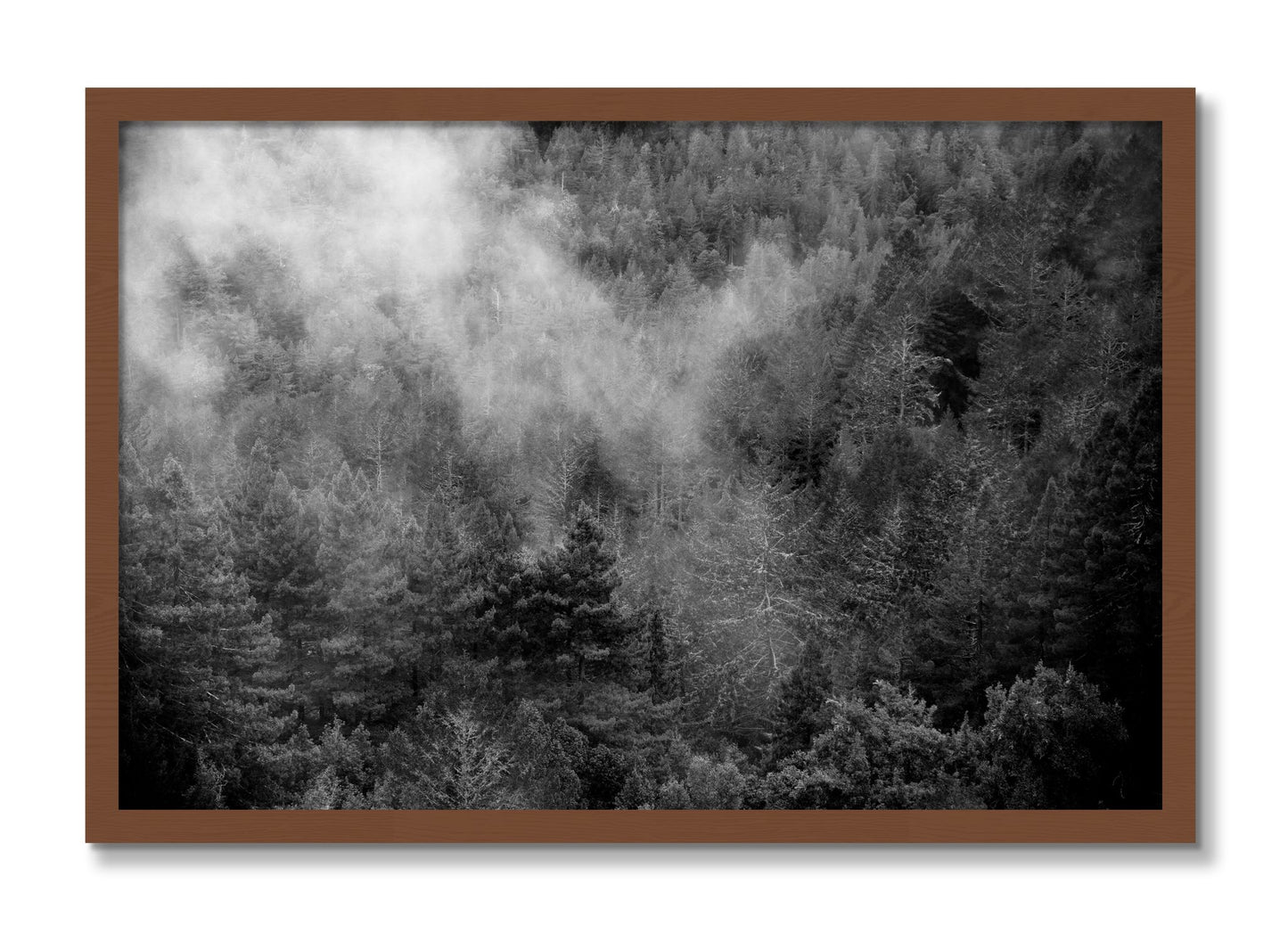 Framed photograph of Muir by Dylan Ozanich, Walnut frame, Full Bleed