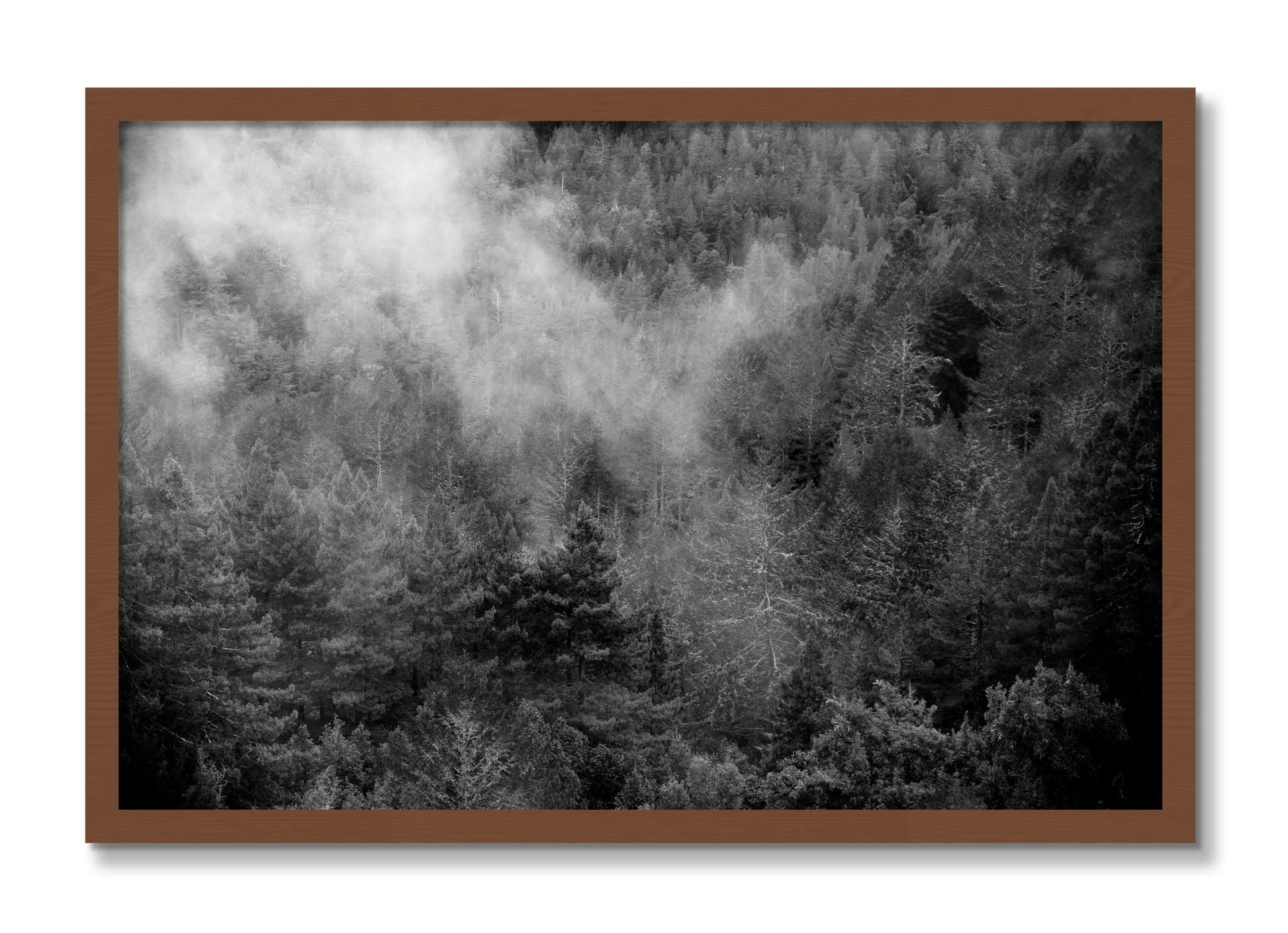 Framed photograph of Muir by Dylan Ozanich, Walnut frame, Full Bleed