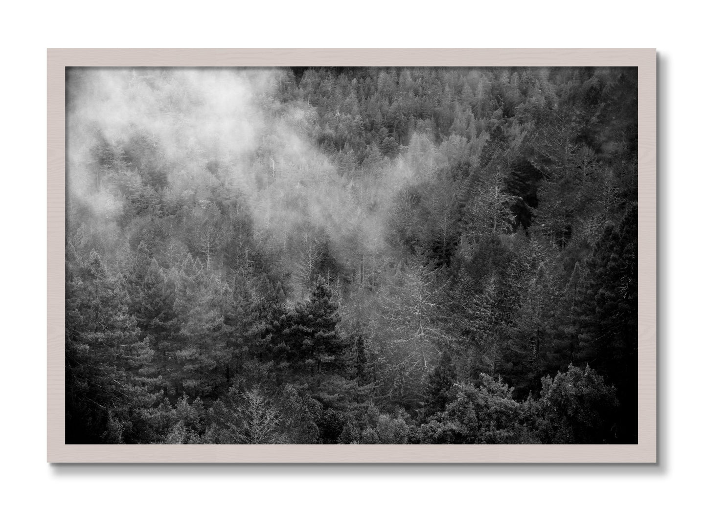 Framed photograph of Muir by Dylan Ozanich, White Maple frame, Full Bleed