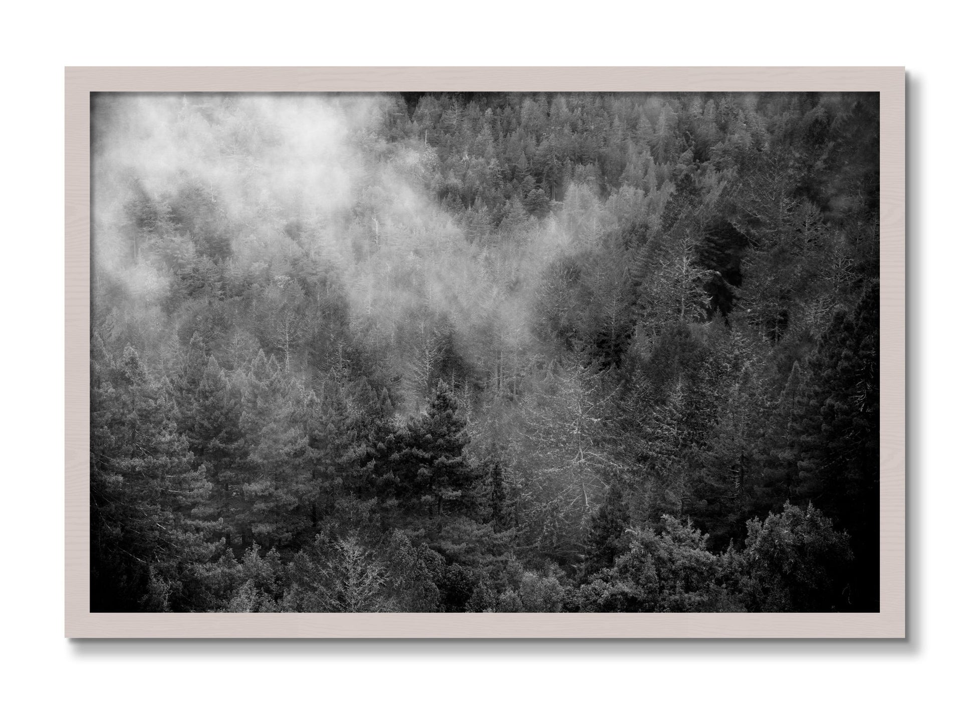 Framed photograph of Muir by Dylan Ozanich, White Maple frame, Full Bleed