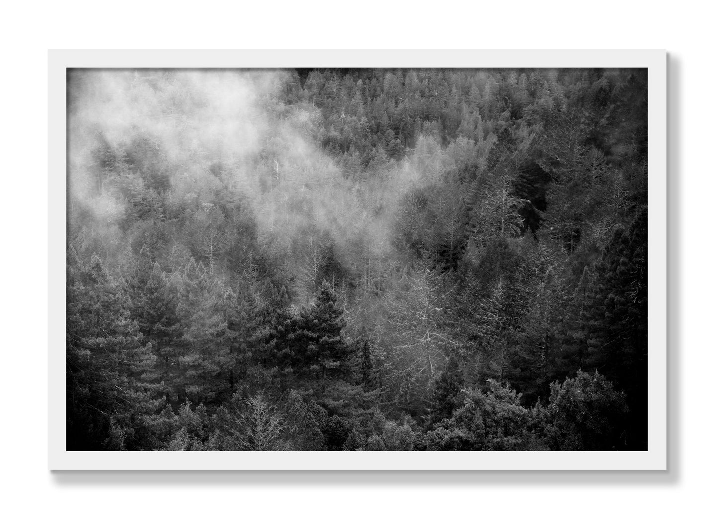 Framed photograph of Muir by Dylan Ozanich, White frame, Full Bleed