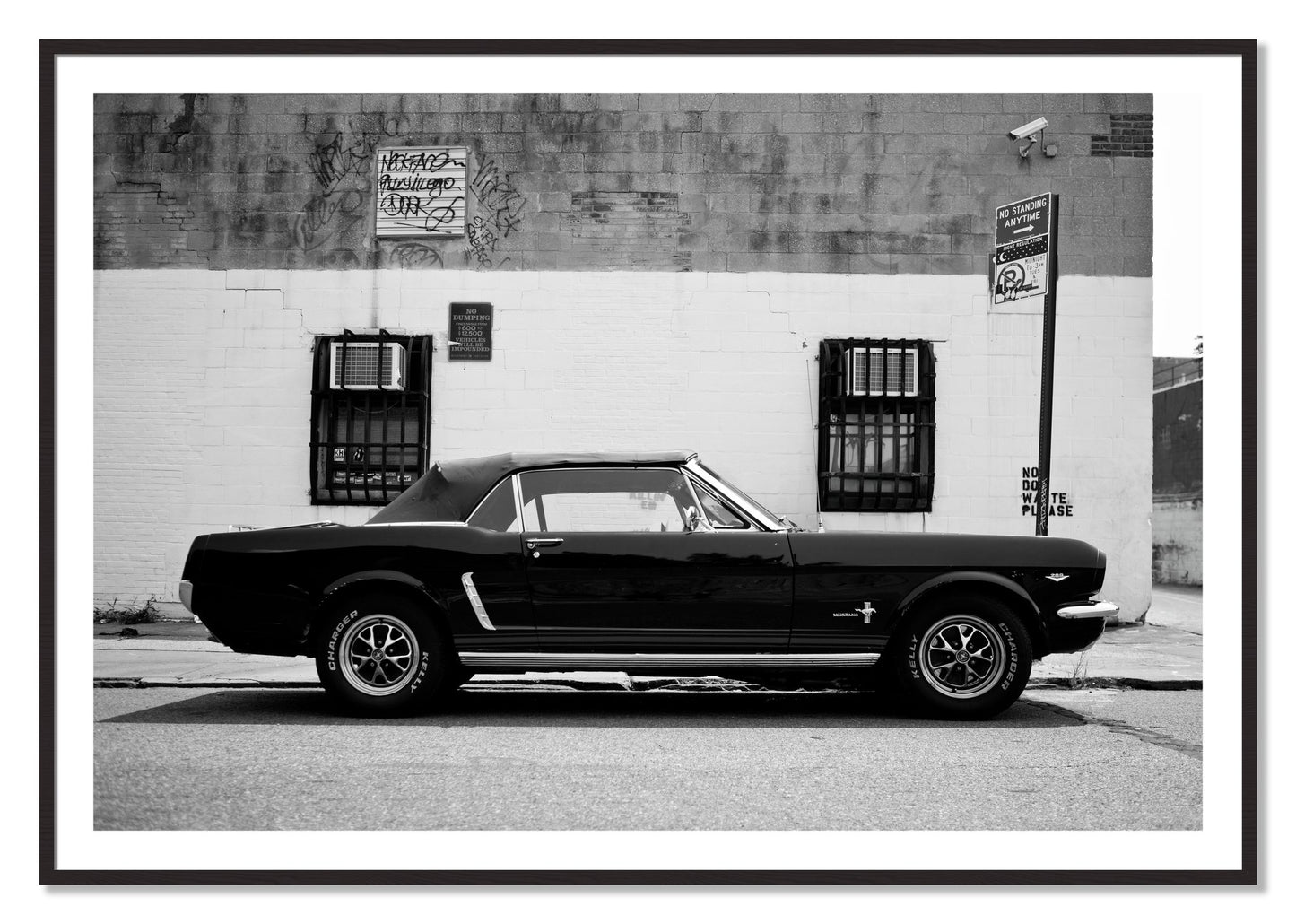 Framed photograph of Mustang by Dylan Ozanich, Black Walnut frame, Borders