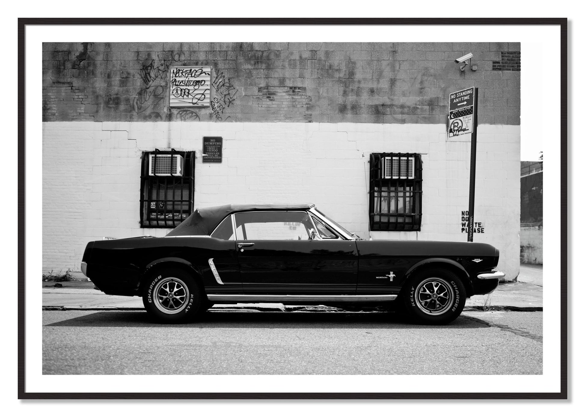Framed photograph of Mustang by Dylan Ozanich, Black Walnut frame, Borders