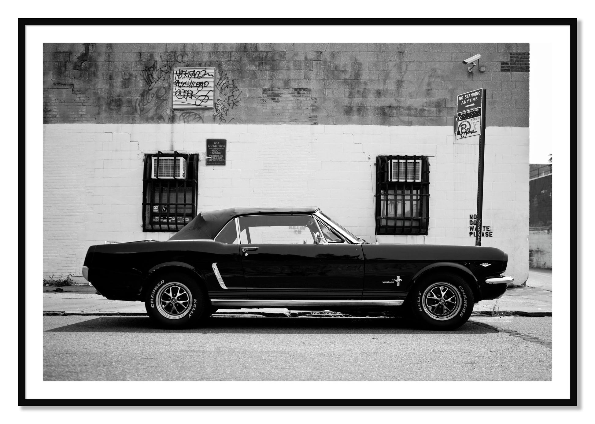 Framed photograph of Mustang by Dylan Ozanich, Black frame, Borders