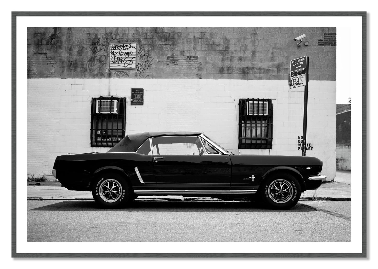 Framed photograph of Mustang by Dylan Ozanich, Grey frame, Borders