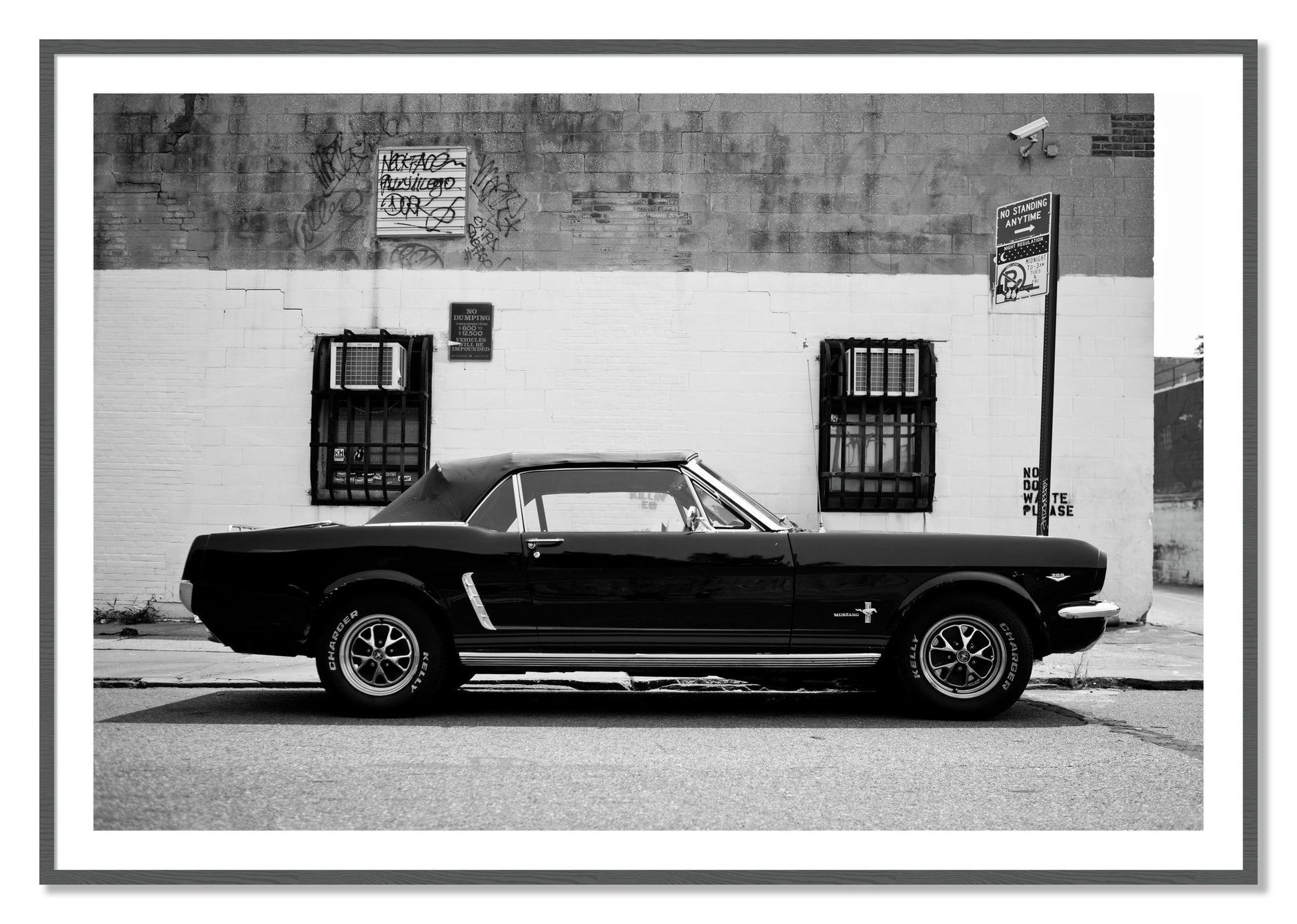 Framed photograph of Mustang by Dylan Ozanich, Grey frame, Borders