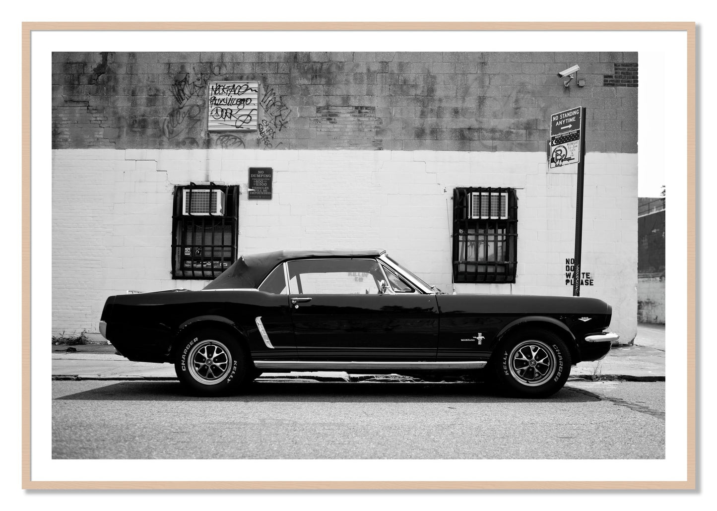 Framed photograph of Mustang by Dylan Ozanich, Maple frame, Borders