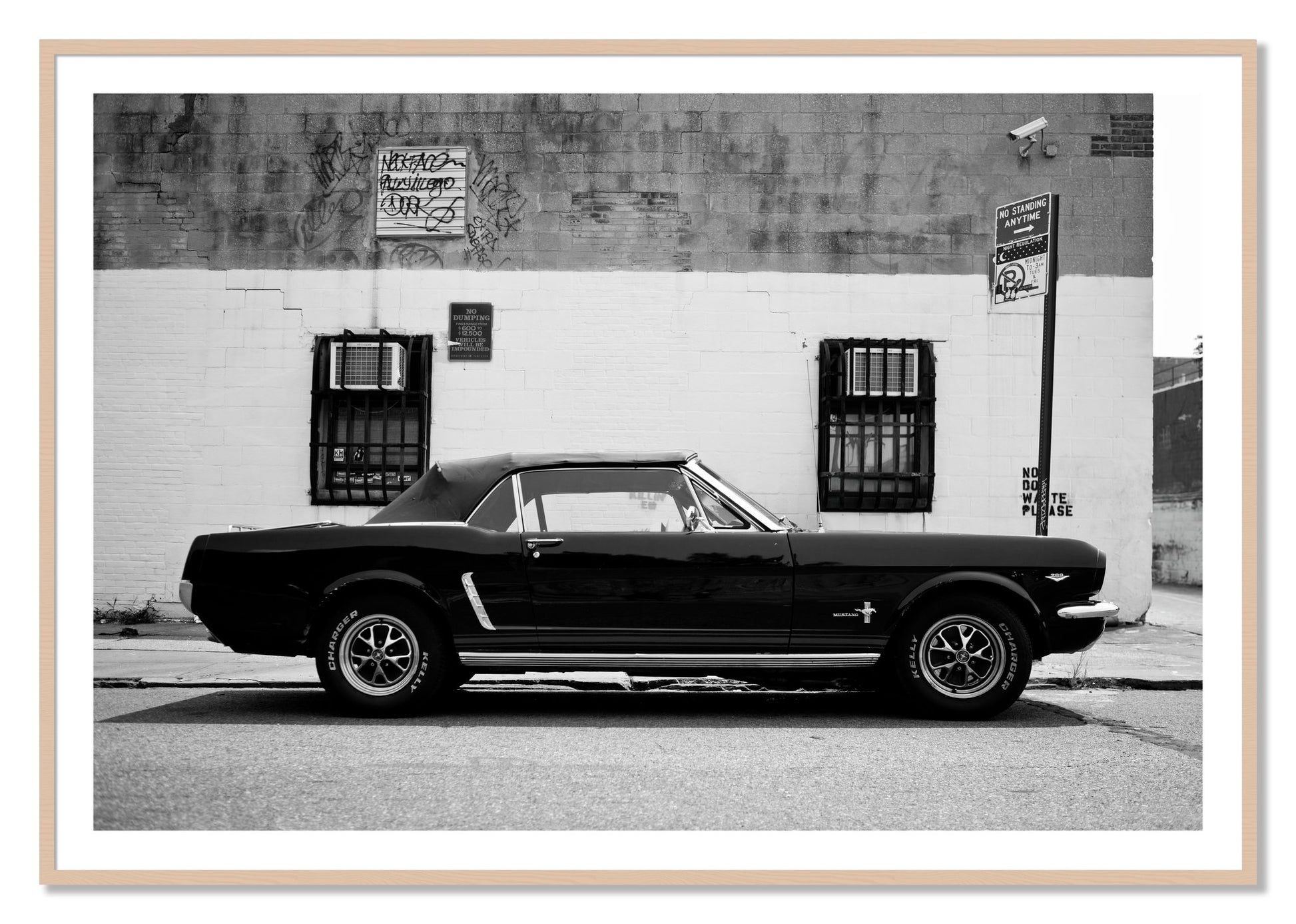 Framed photograph of Mustang by Dylan Ozanich, Maple frame, Borders
