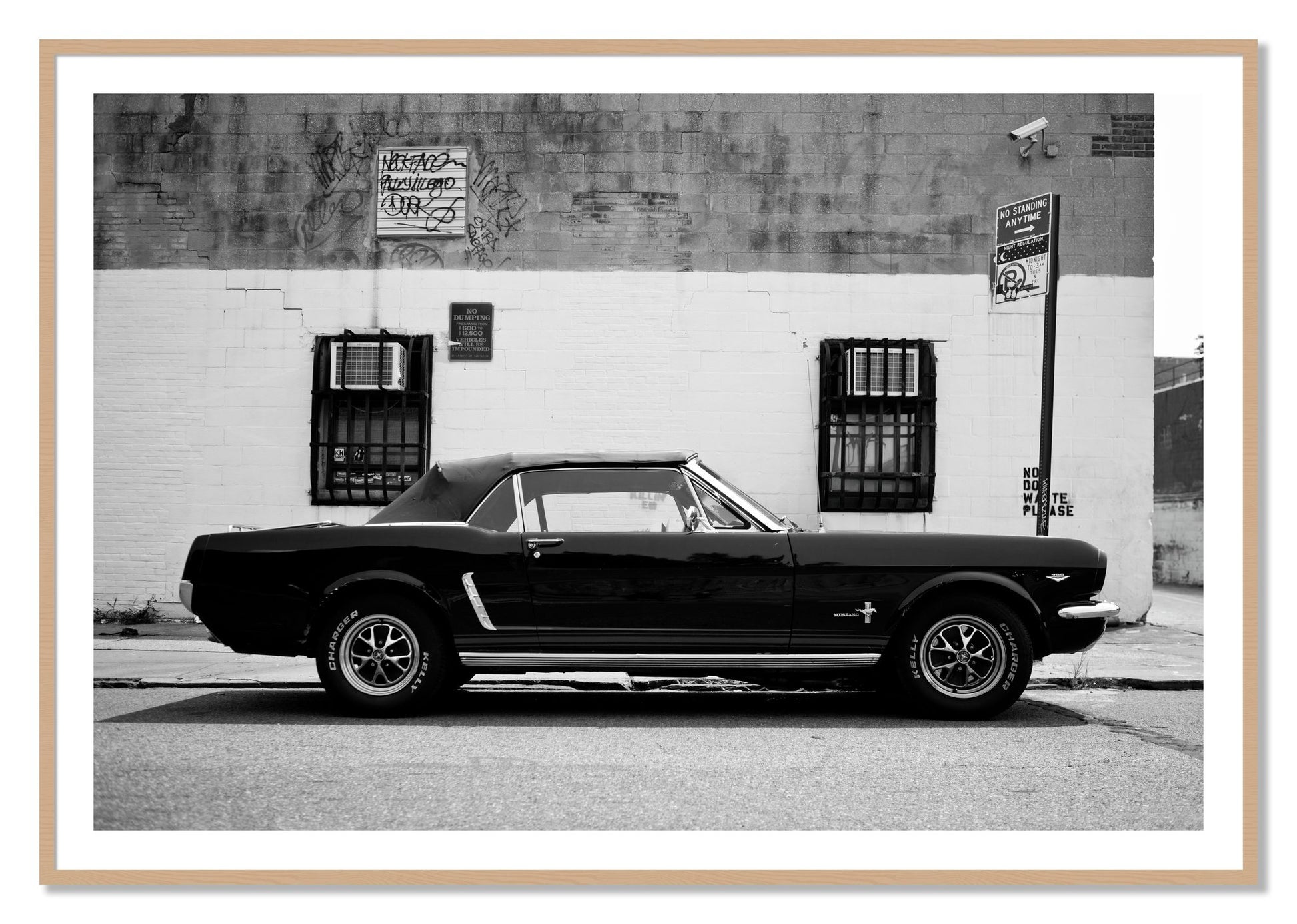 Framed photograph of Mustang by Dylan Ozanich, Oak frame, Borders
