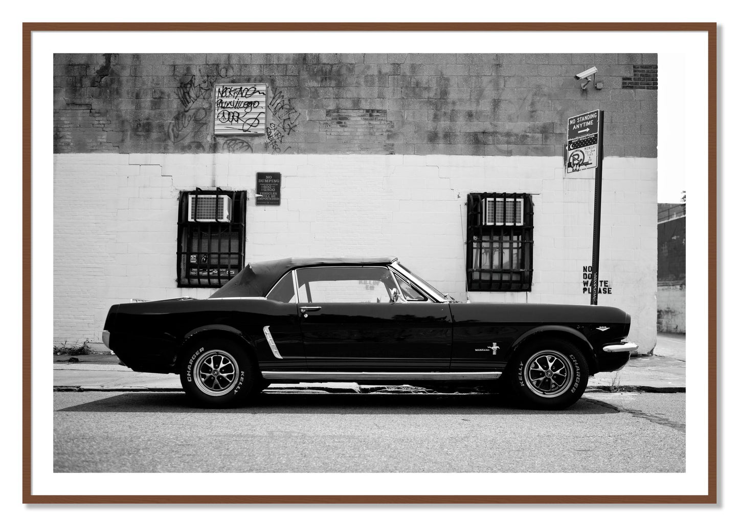Framed photograph of Mustang by Dylan Ozanich, Walnut frame, Borders