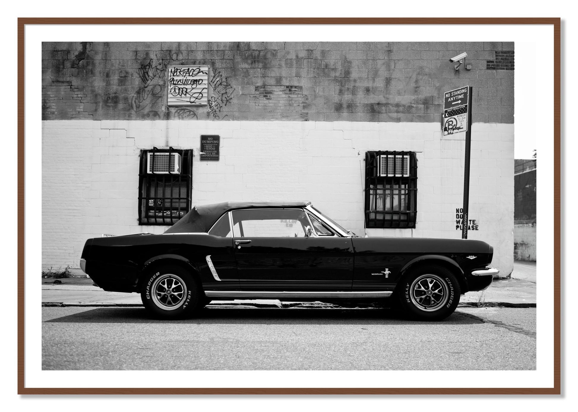 Framed photograph of Mustang by Dylan Ozanich, Walnut frame, Borders