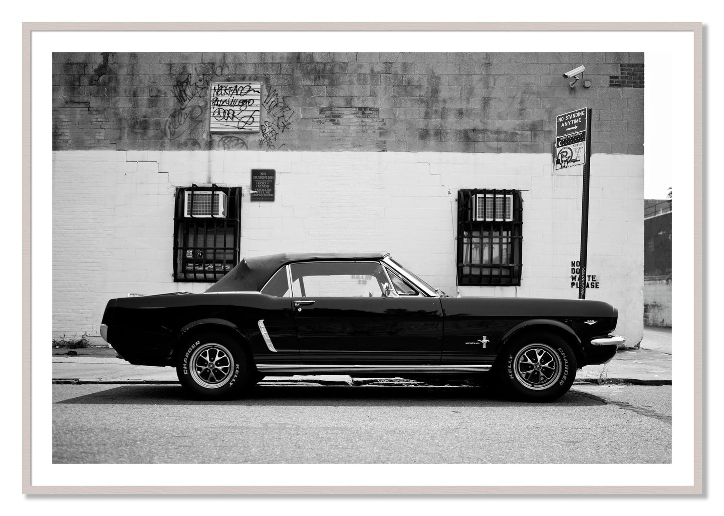 Framed photograph of Mustang by Dylan Ozanich, White Maple frame, Borders