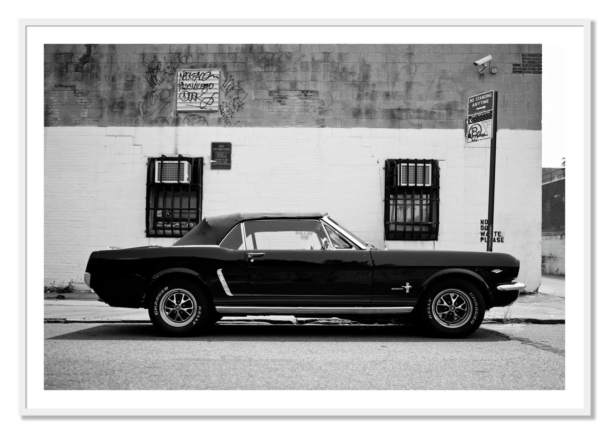 Framed photograph of Mustang by Dylan Ozanich, White frame, Borders