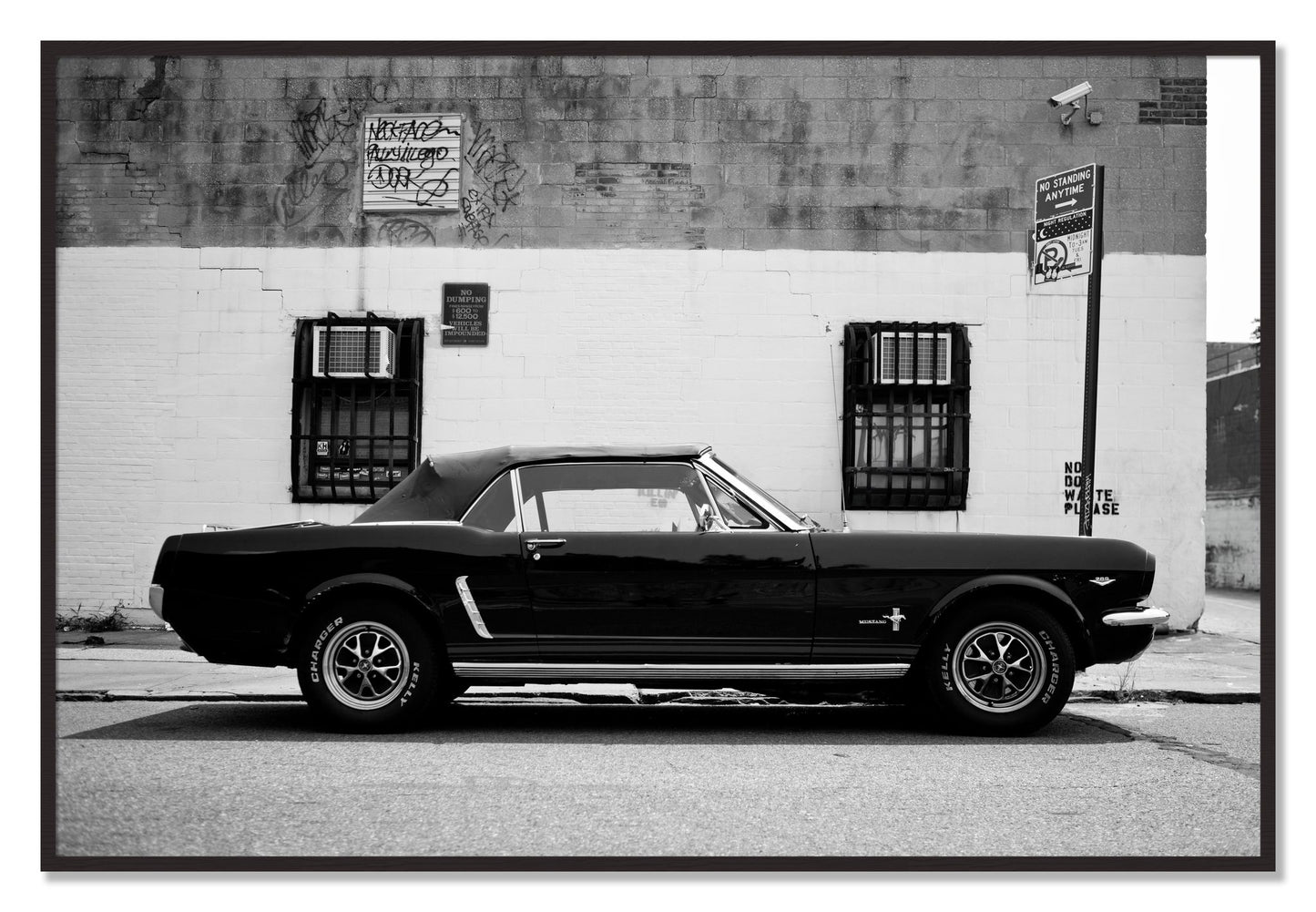 Framed photograph of Mustang by Dylan Ozanich, Black Walnut frame, Full Bleed