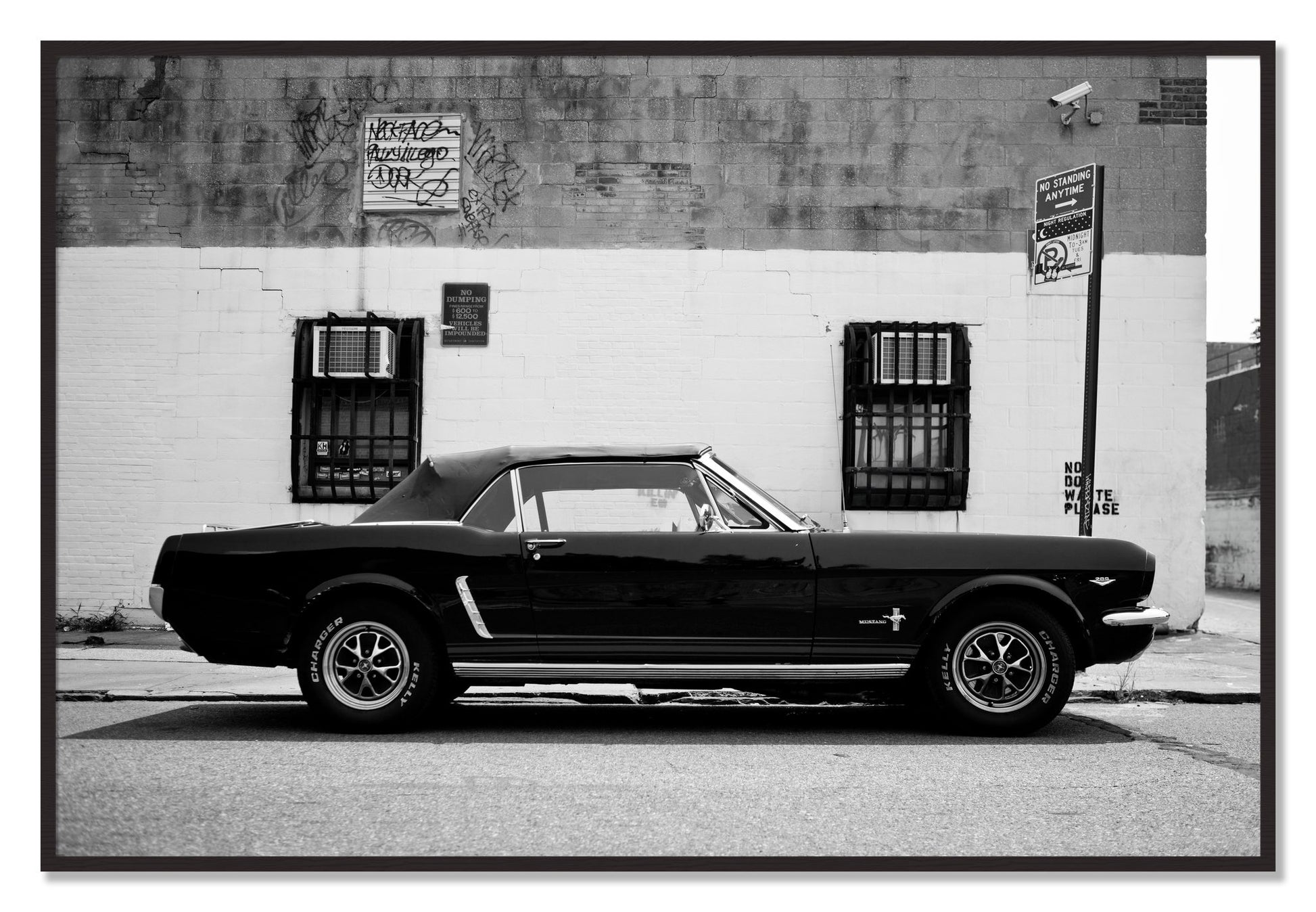 Framed photograph of Mustang by Dylan Ozanich, Black Walnut frame, Full Bleed
